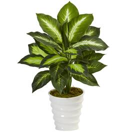 BreeBe - 22" Dieffenbachia in Swirl Planter - Multicolor 1