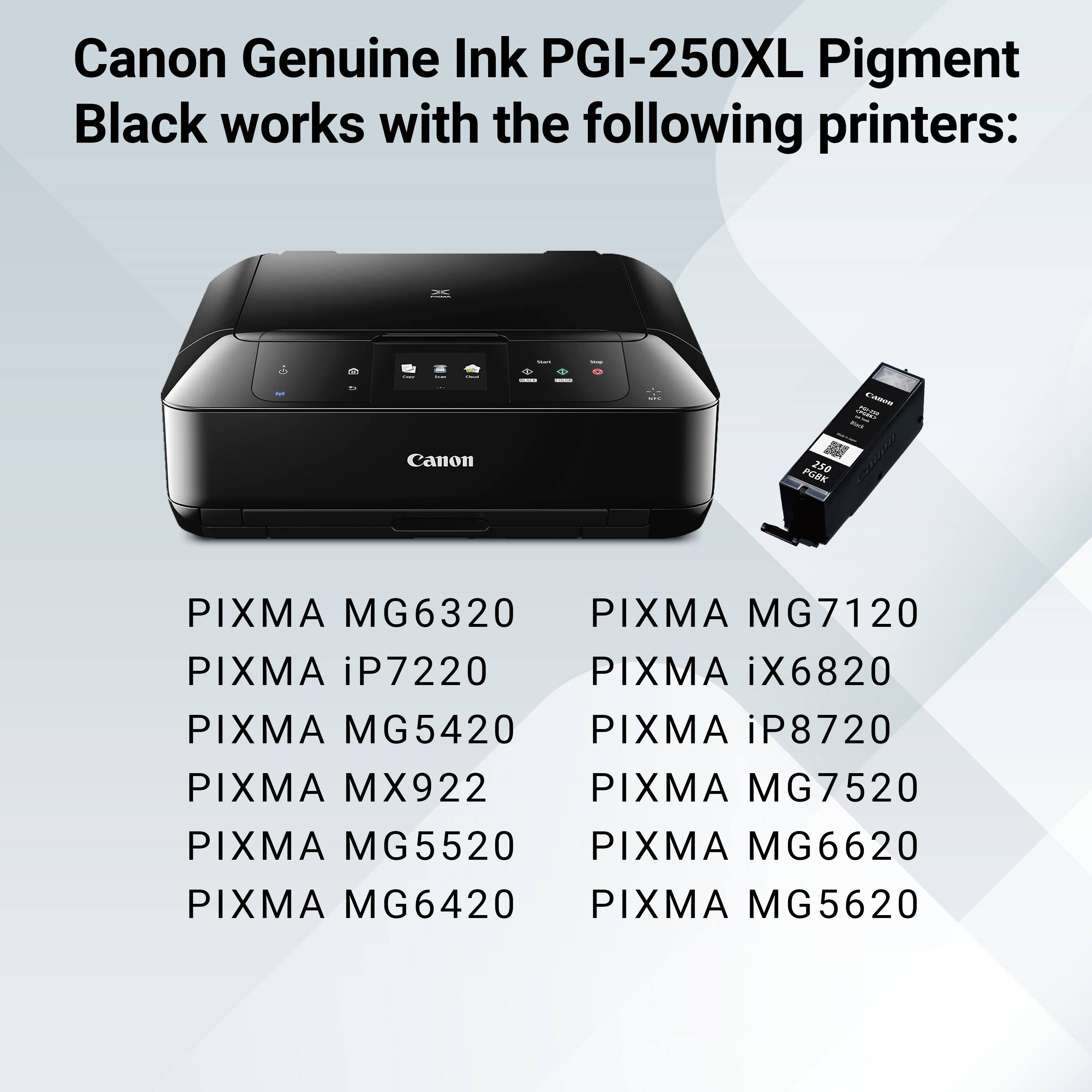 Canon Genuine Ink PGI-250XL Pigment Black works with the following printers:

- PIXMA MG6320
- PIXMA iP7220
- PIXMA MG5420
- PIXMA MX922
- PIXMA MG5520
- PIXMA MG6420
- PIXMA MG7120
- PIXMA iX6820
- PIXMA iP8720
- PIXMA MG7520
- PIXMA MG6620
- PIXMA MG5620