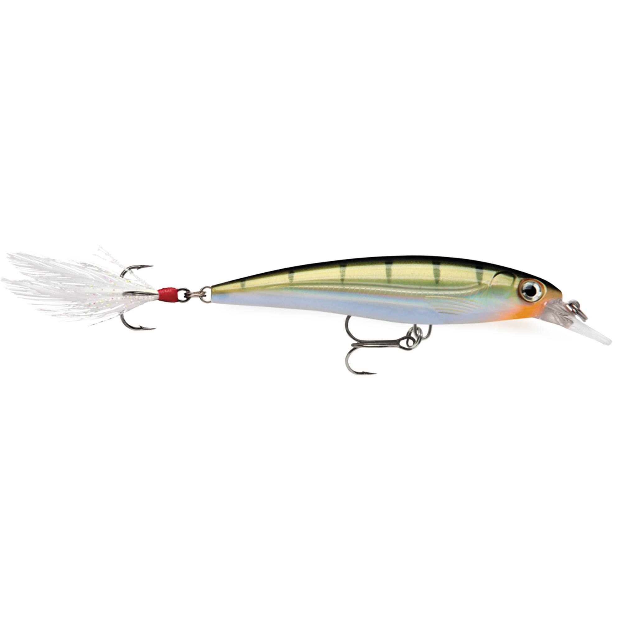 Yellow Perch