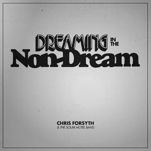 Chris Forsyth & the Solar Motel Band - Dreaming In The Non-dream  - COMPACT DISCS