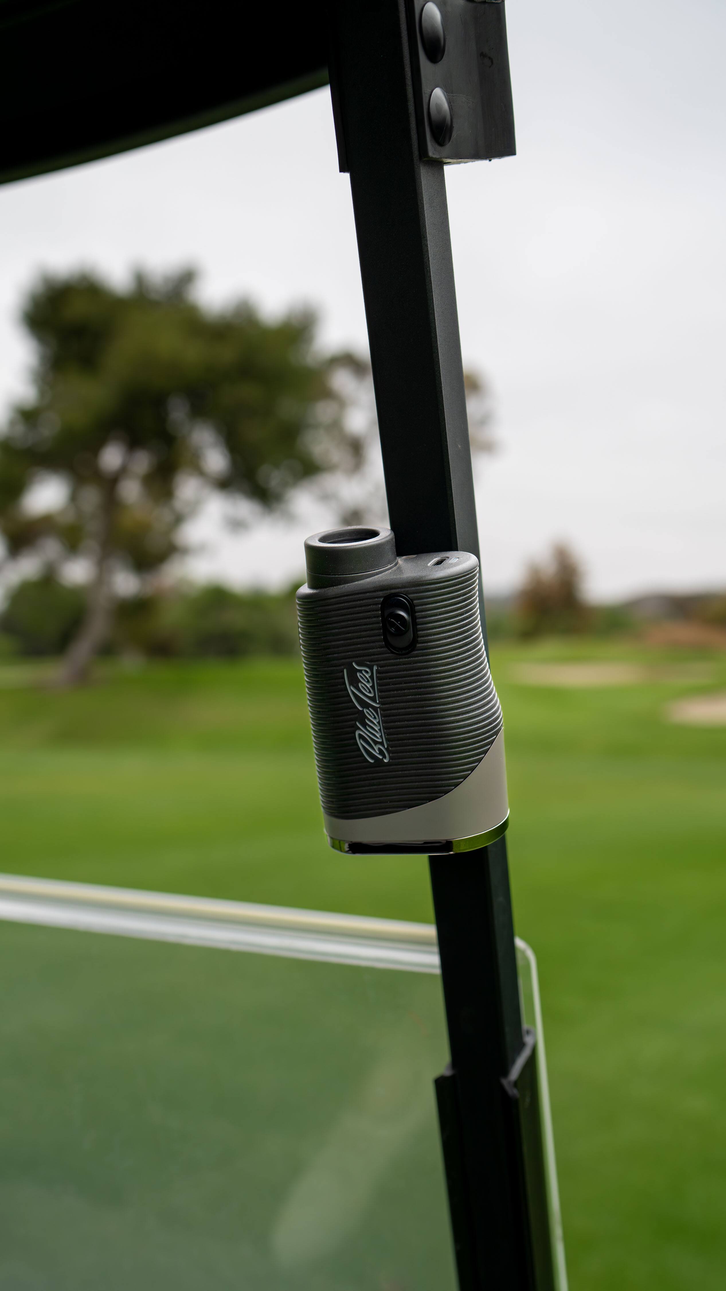 The text on the image is "ees Blulees." It appears to be a brand or product name.