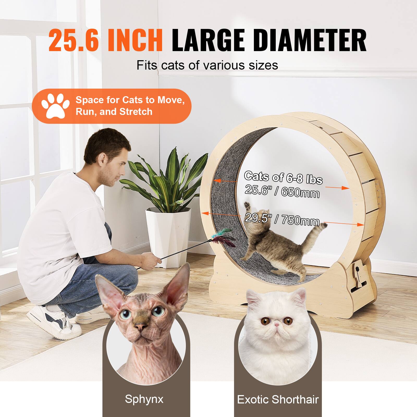 25.6 INCH LARGE DIAMETER  
Fits cats of various sizes  

Space for Cats to Move, Run, and Stretch  

Cats of 6-8 lbs  
25.6" / 650mm  

29.5" / 750mm  

Sphynx  
Exotic Shorthair