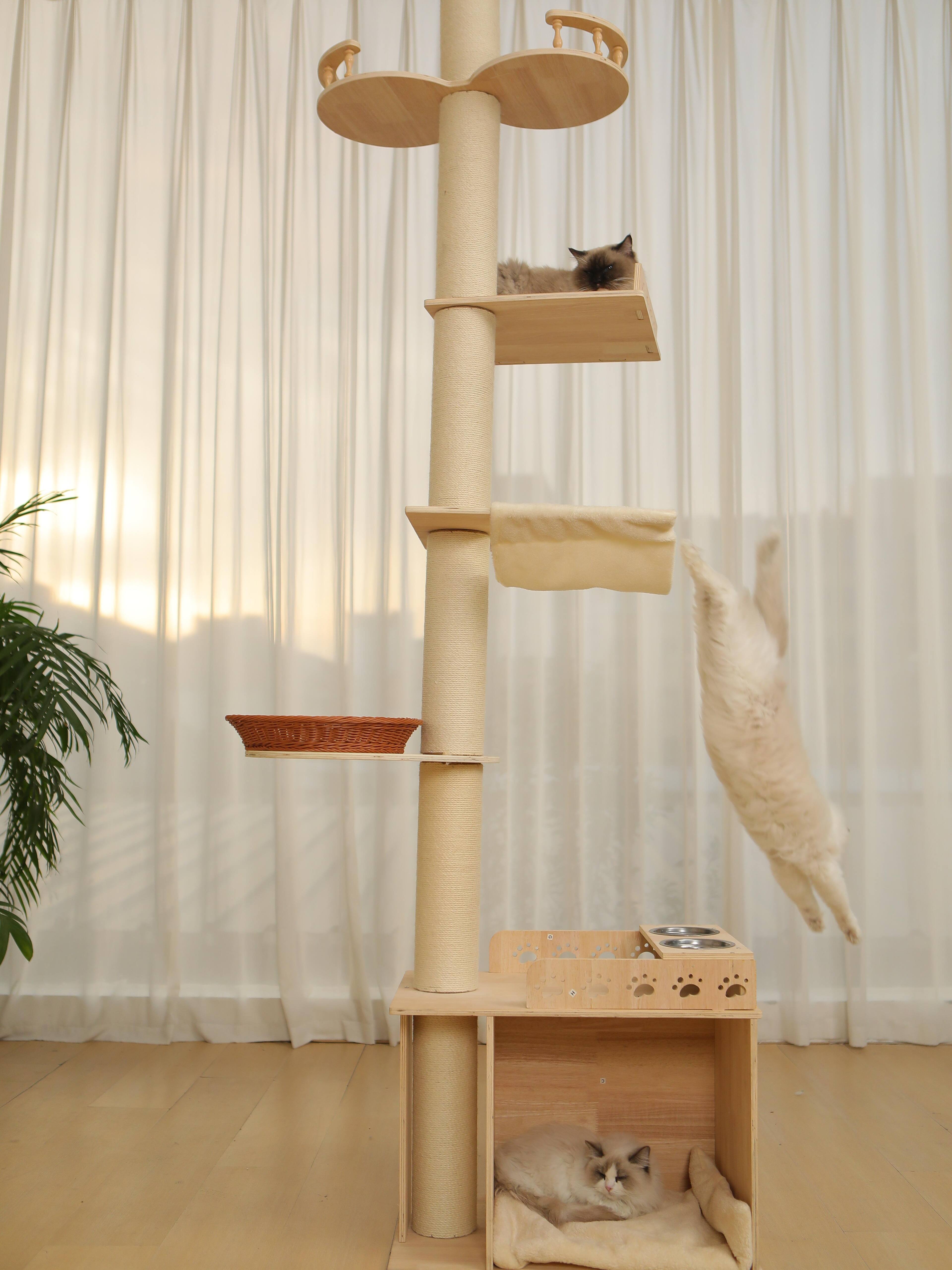 Angle. JUJABU - 5-Tier Adjustable Cat Tree Tower – Hemp Scratching Post, Perches, Sturdy Indoor/Outdoor Activity Center.