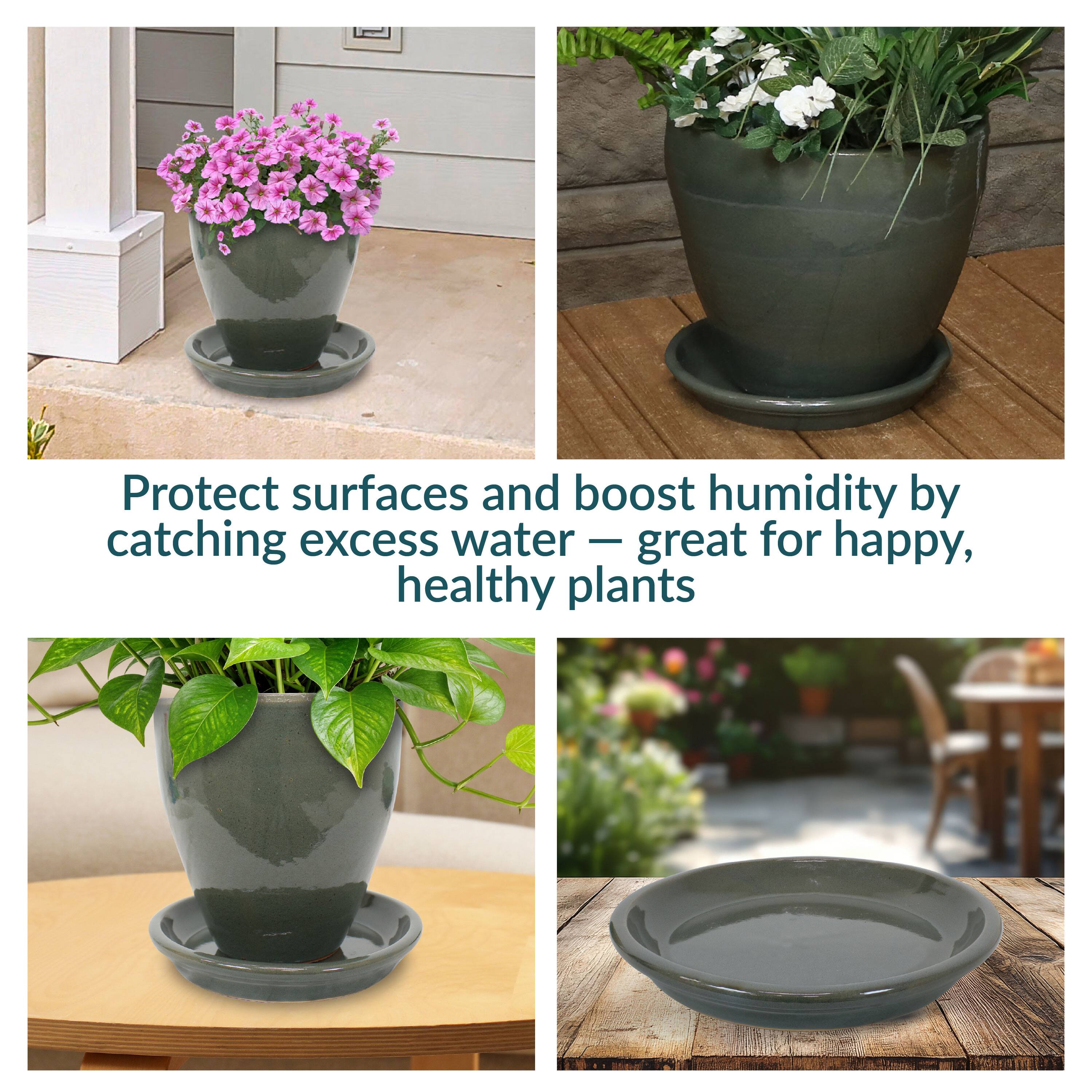 Protect surfaces and boost humidity by catching excess water — great for happy, healthy plants