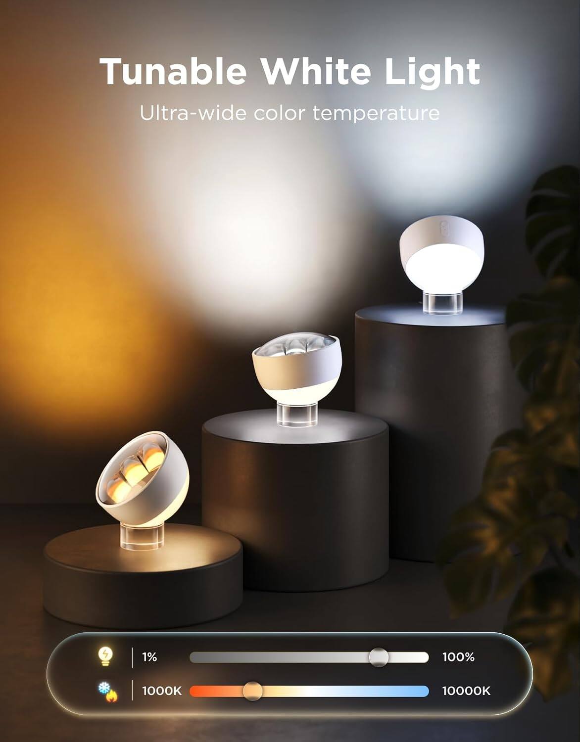 Tunable White Light  
Ultra-wide color temperature  

1%  
100%  
1000K  
10000K