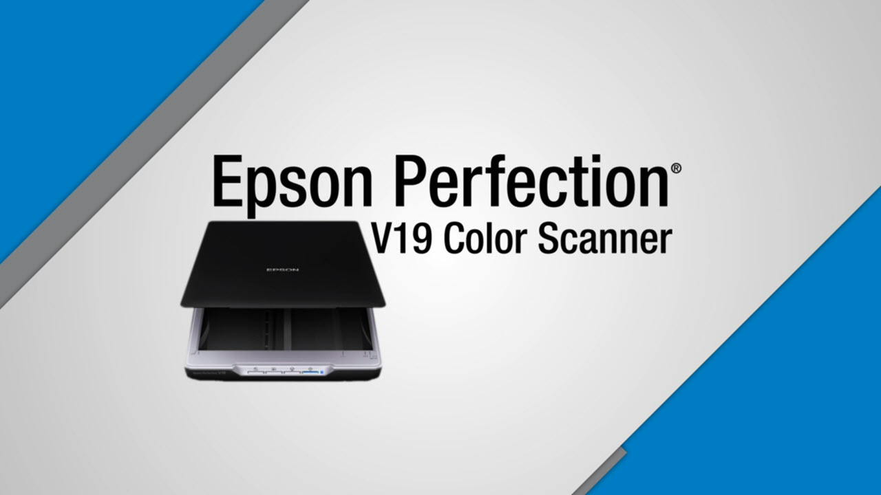 Сканер epson perfection v19 обзор