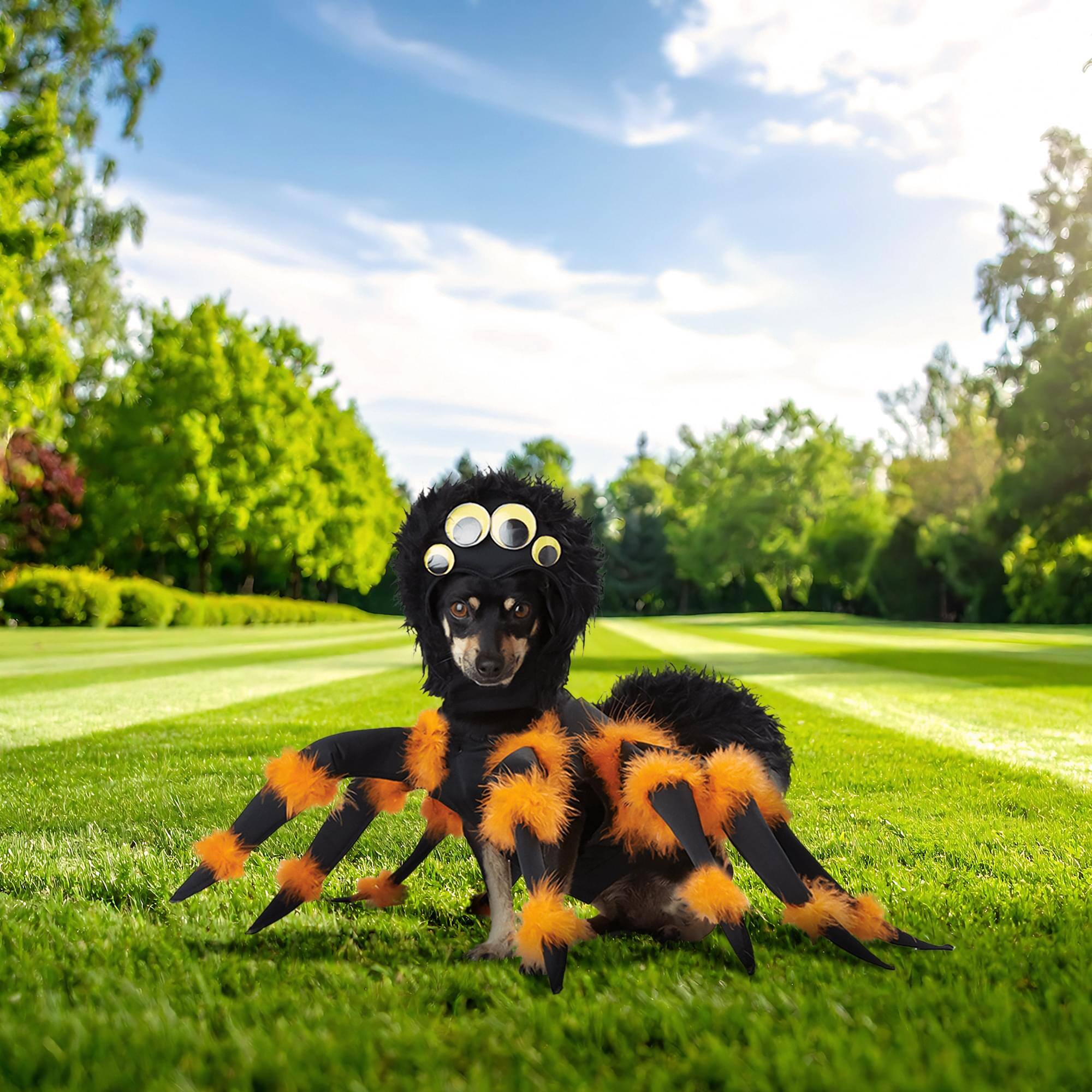 Alt View 3. California Costumes - Spider Pup Pet Costume | X-Small - Multi-Colored.