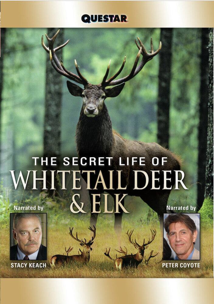 Front. The Secret Life of Whitetail Deer and Elk (MOD) (DVD Movie).