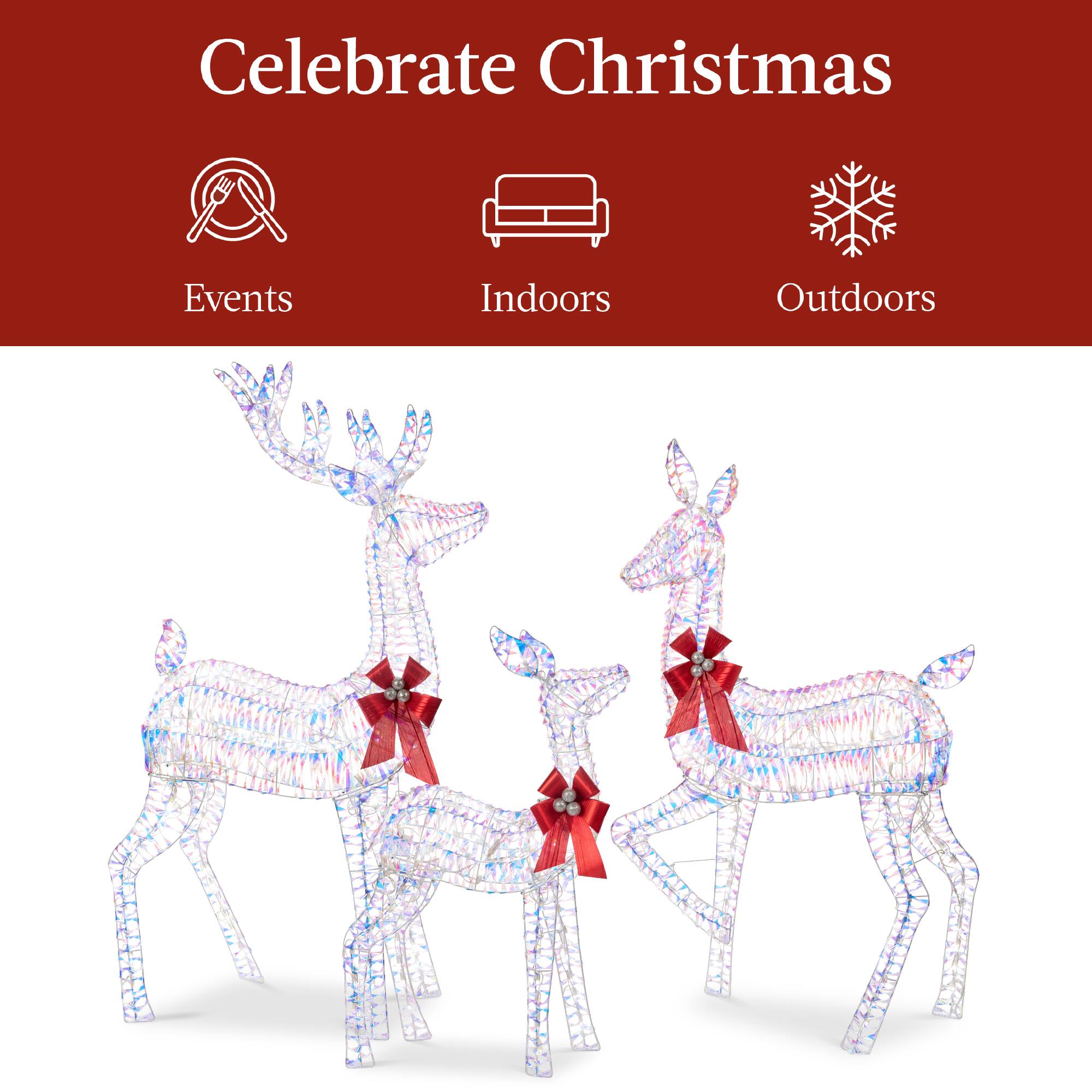 Celebrate Christmas

Events Indoors Outdoors