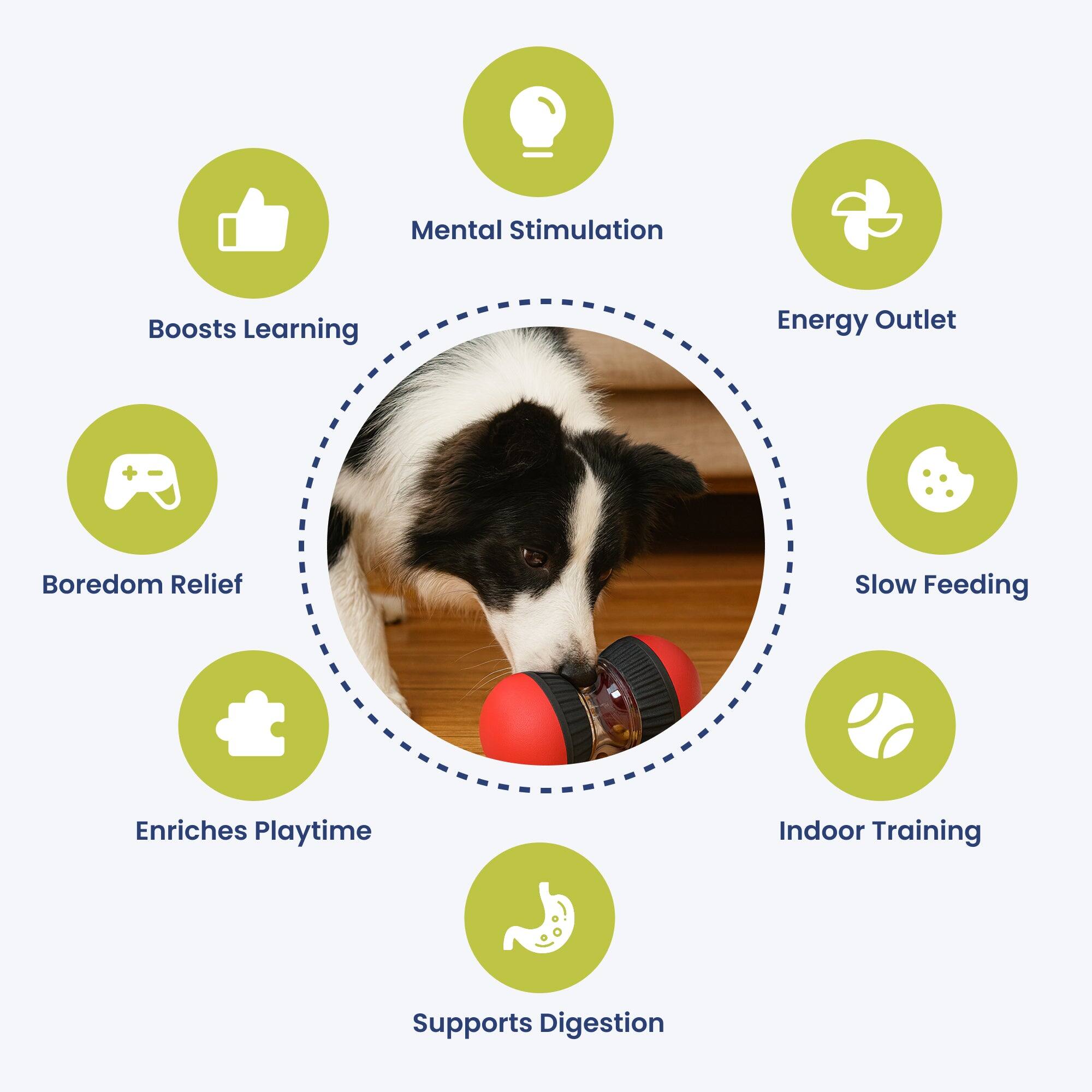 Mental Stimulation
Boosts Learning
Energy Outlet
Boredom Relief
Slow Feeding
Enriches Playtime
Indoor Training
Supports Digestion