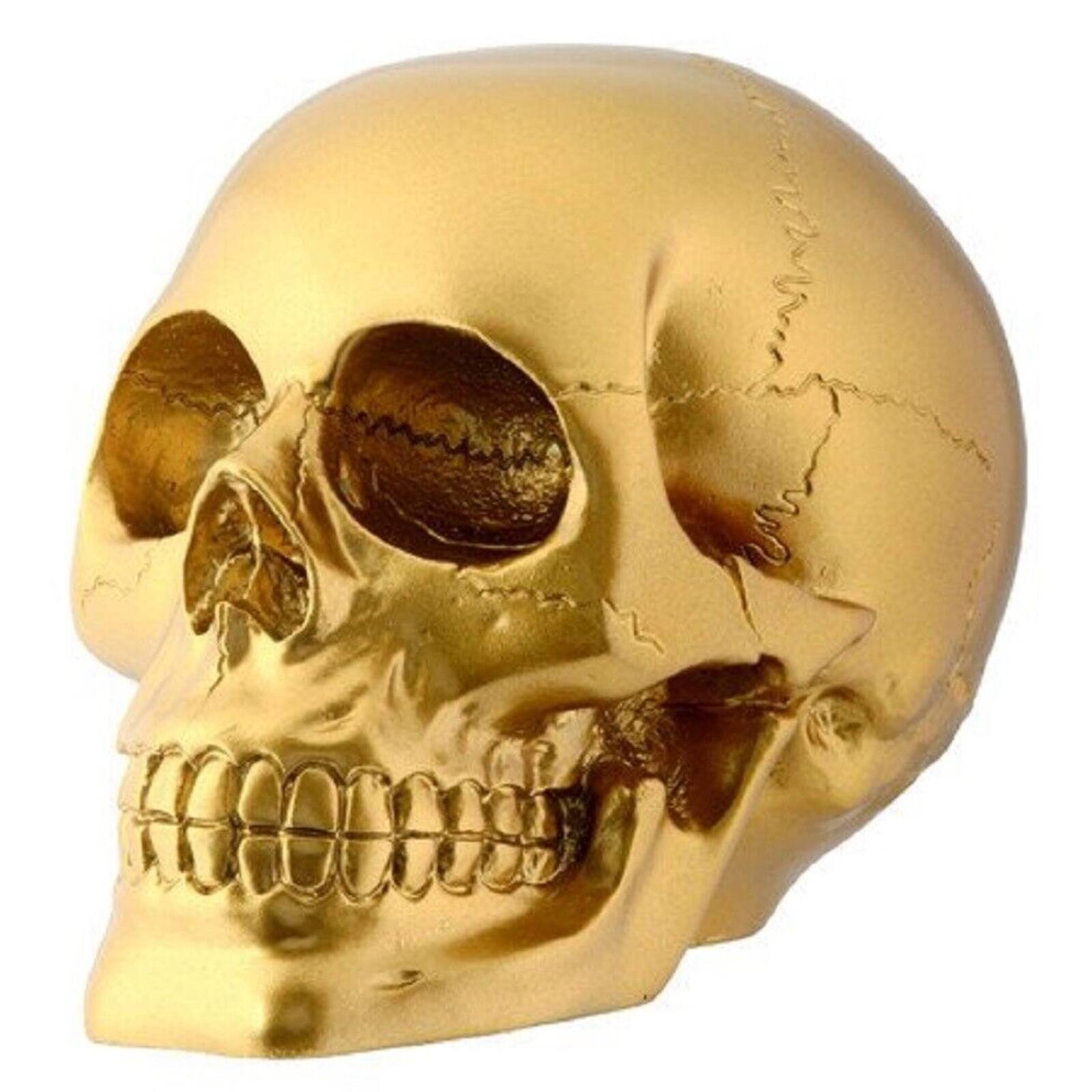 Front. Pacific Trading - Pirate's Loot Gold Skull Statue Halloween Resin Figurine 4.5 inch.