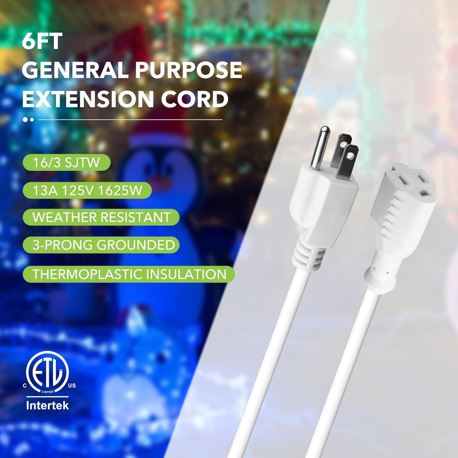 6FT GENERAL PURPOSE EXTENSION CORD

- 16/3 SJTW
- 13A 125V 1625W
- WEATHER RESISTANT
- 3-PRONG GROUNDED
- THERMOPLASTIC INSULATION

ETL US
Intertek