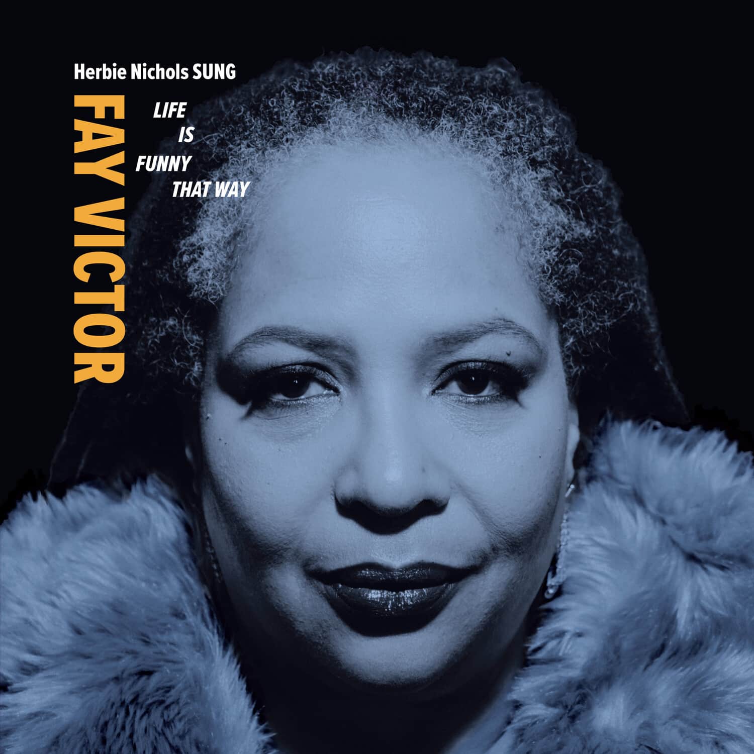 Fay Victor - Life Is Funny That Way   - COMPACT DISCS [CD] price history on PriceWatchPro