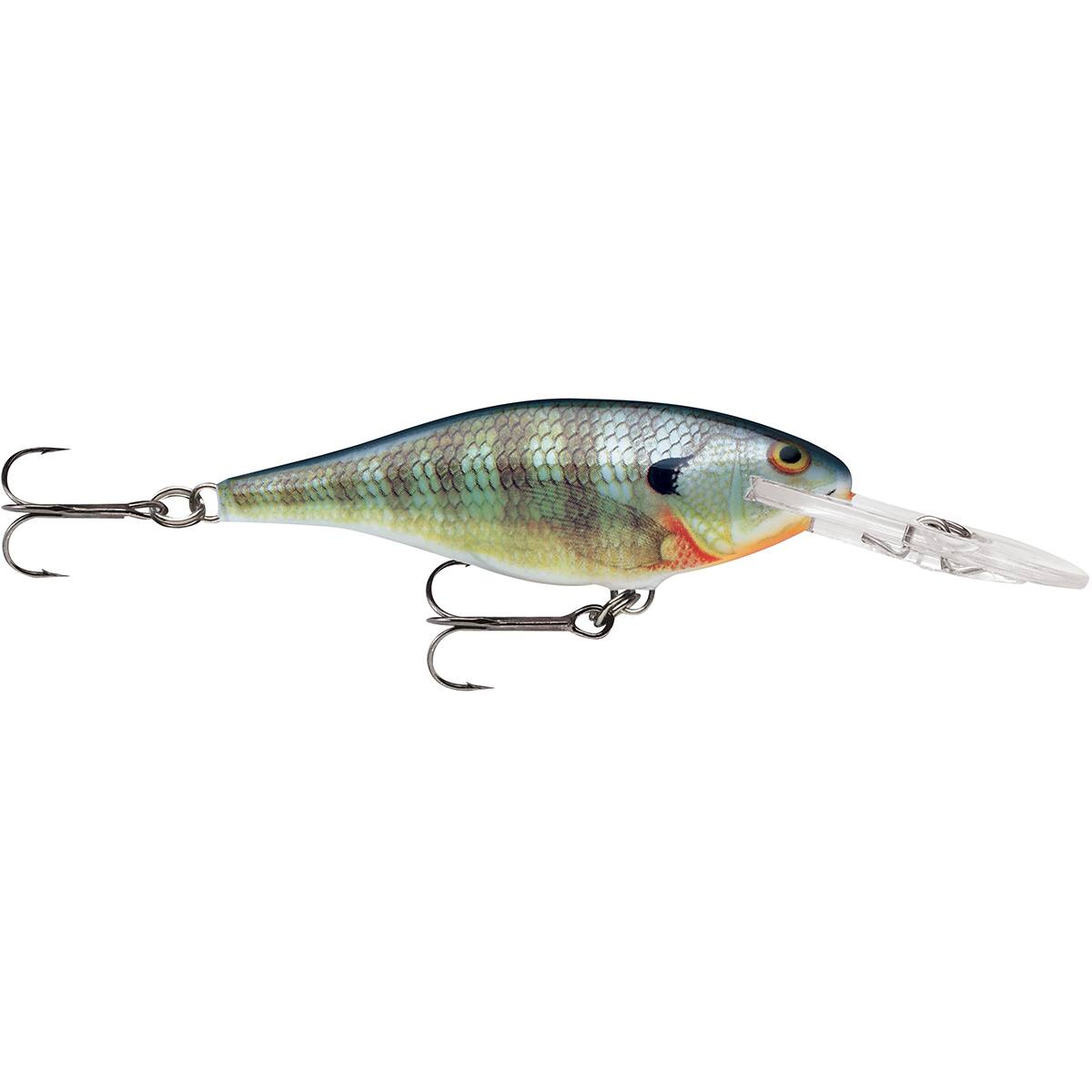 Bluegill