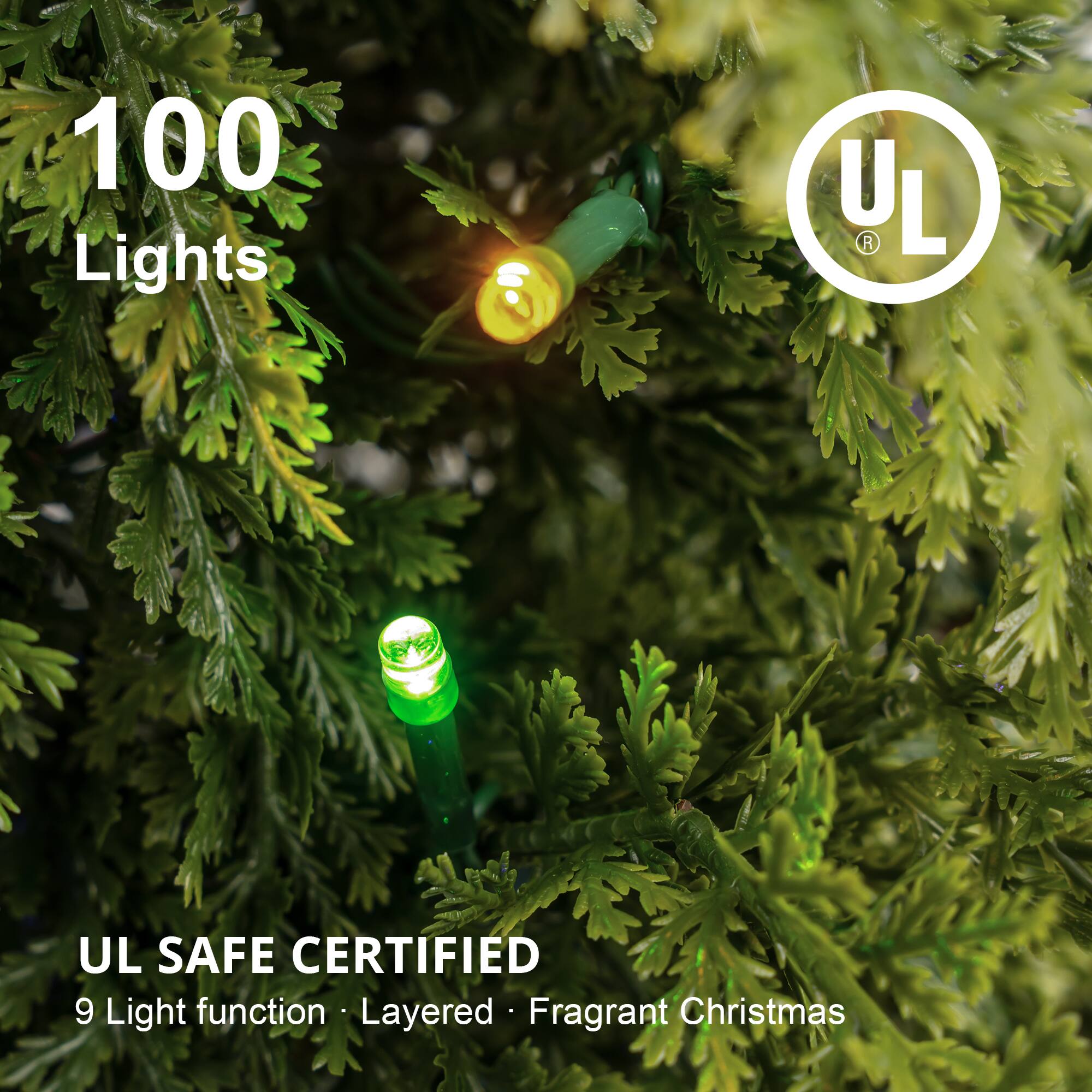100 Lights

UL

UL SAFE CERTIFIED

9 Light function • Layered • Fragrant Christmas