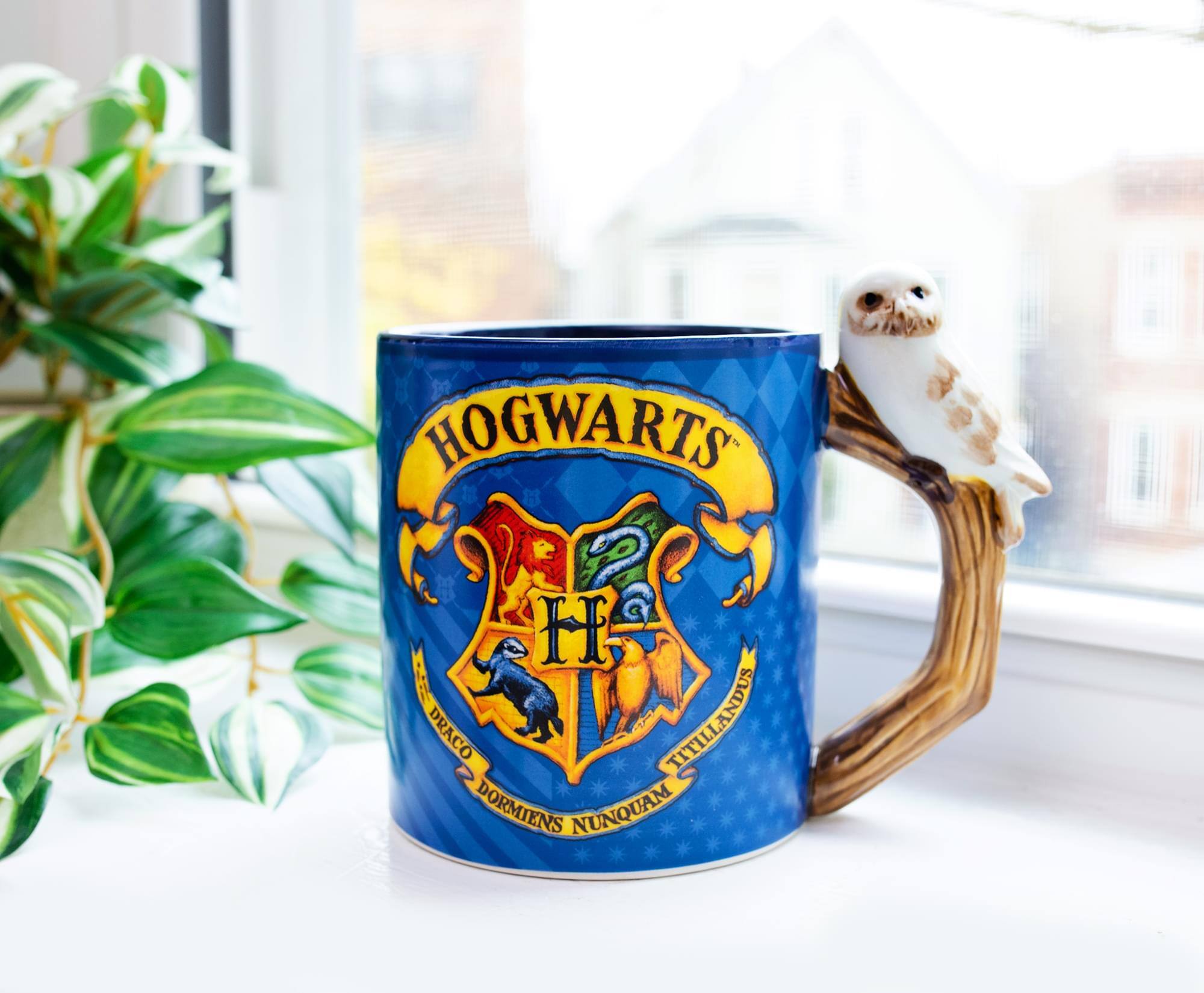 HOGWARTS  
DRACO TITILLANDUS  
DORMIENS NUNQUAM