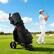 Alt View 3. Gymax - Gymax Electric Golf Push Cart w/Adjustable Handle & 9 Speed Settings Umbrella Holder - Black.