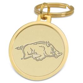 Jardine - Arkansas Razorbacks Splitwire Key Ring - Gold