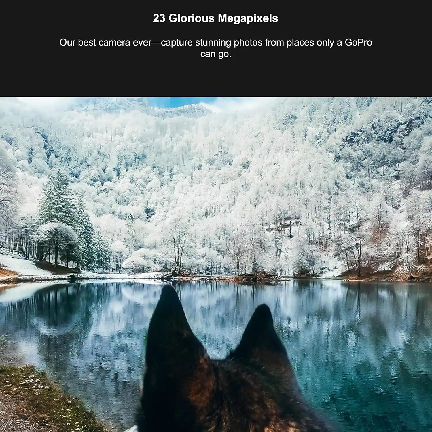 23 Glorious Megapixels

Our best camera ever—capture stunning photos from places only a GoPro can go.