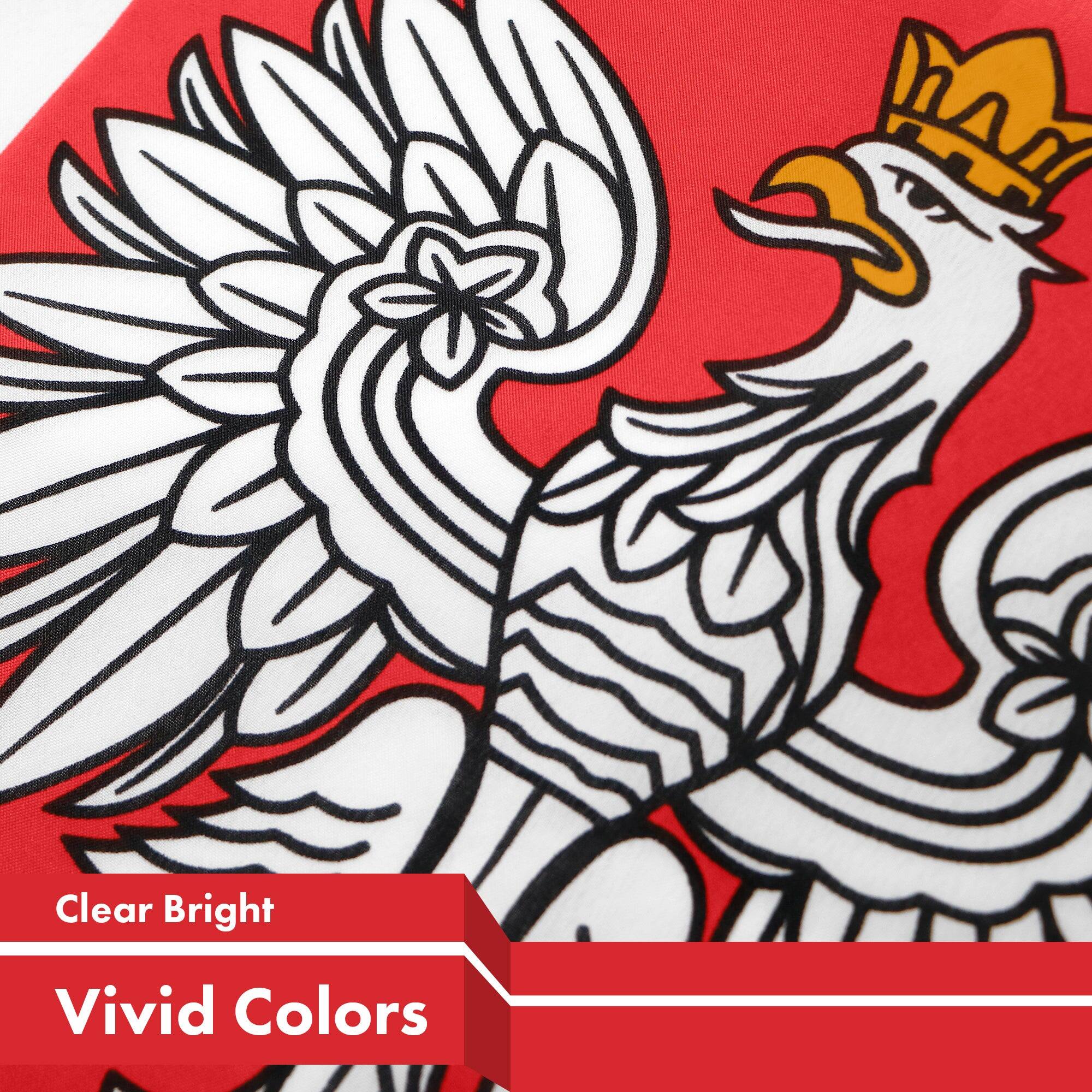 Clear Bright  
Vivid Colors