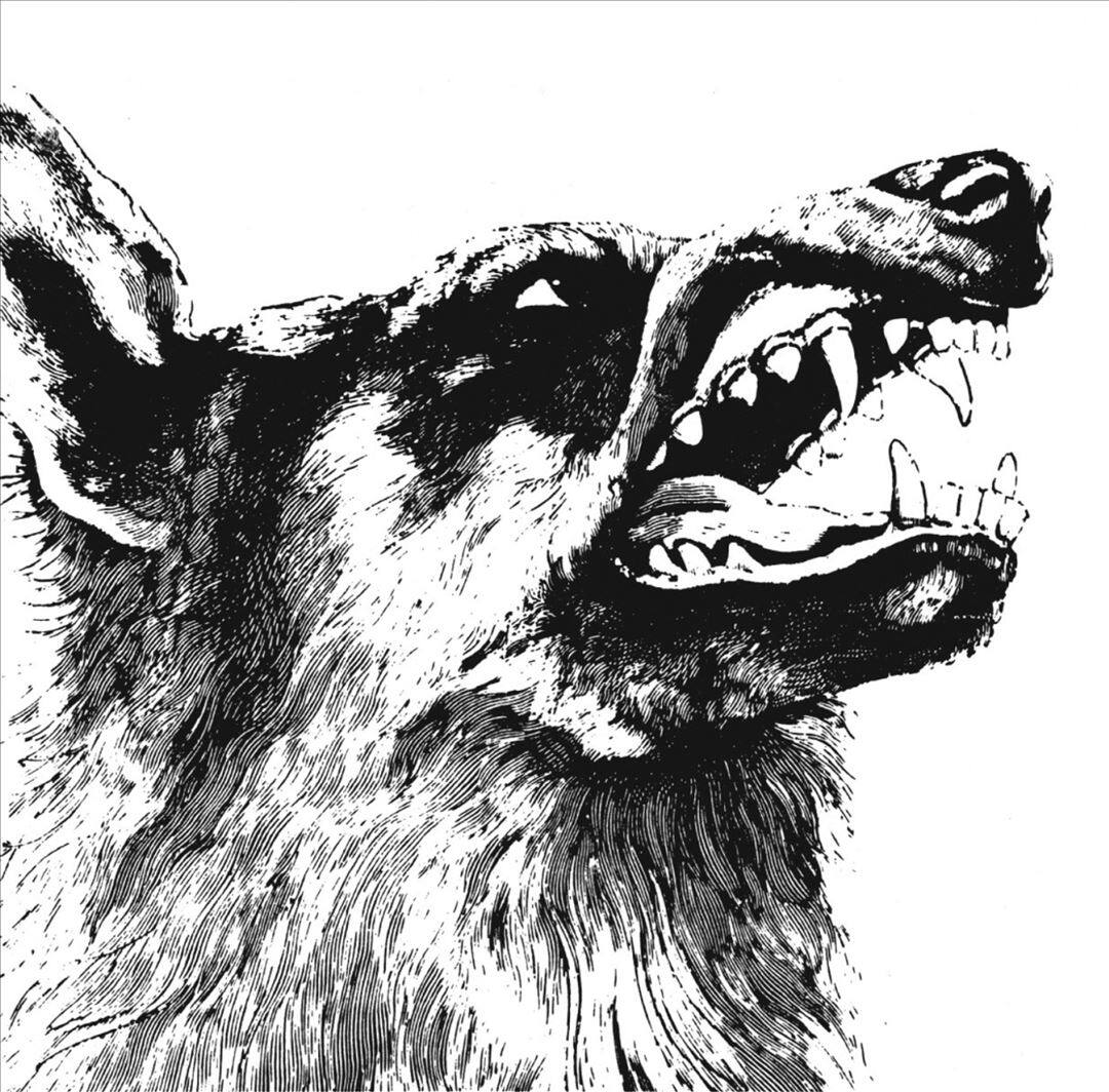 Front. I, Vigilante [LP].