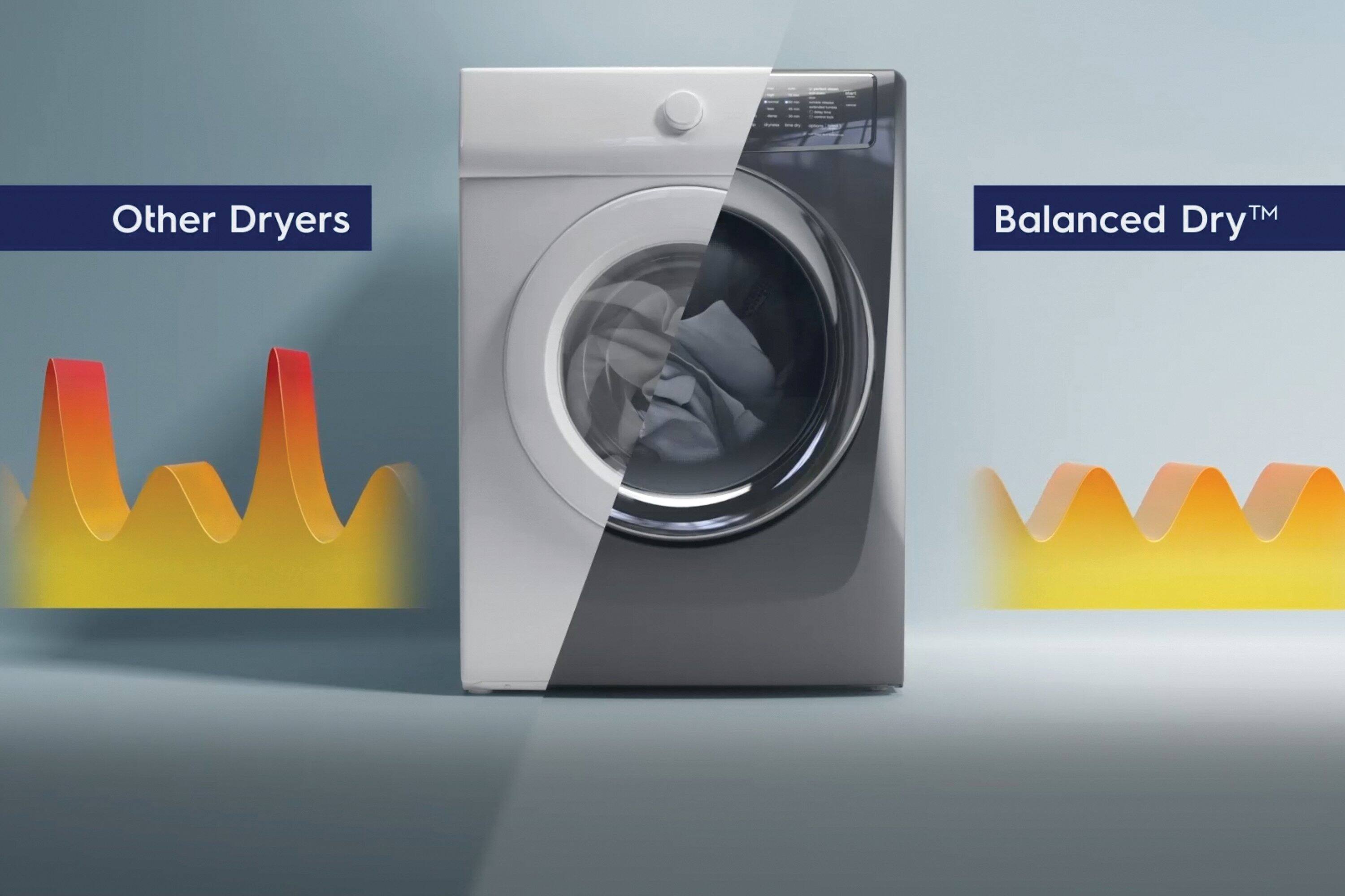 The text on the image is grouped as follows:

1. Other Dryers
2. Balanced TM Dry