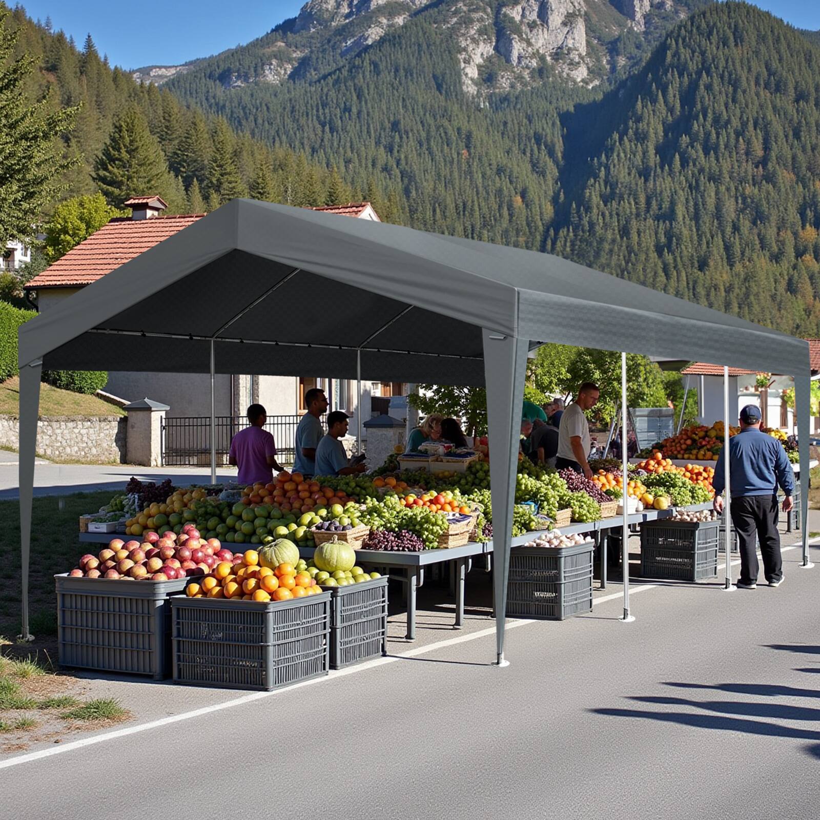 Alt View 2. Winado - 10x20 Heavy Duty Carport with Galvanized Steel Frame, Portable Garage with 2 Roll-up Windows & Doors, Removable Sidewall.