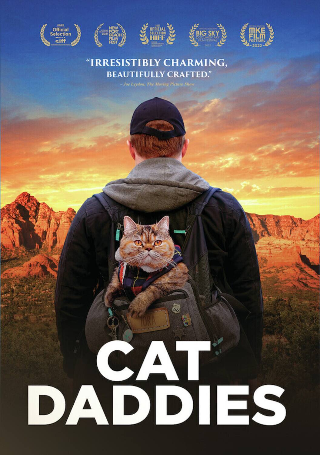 Cat Daddies  - DVD