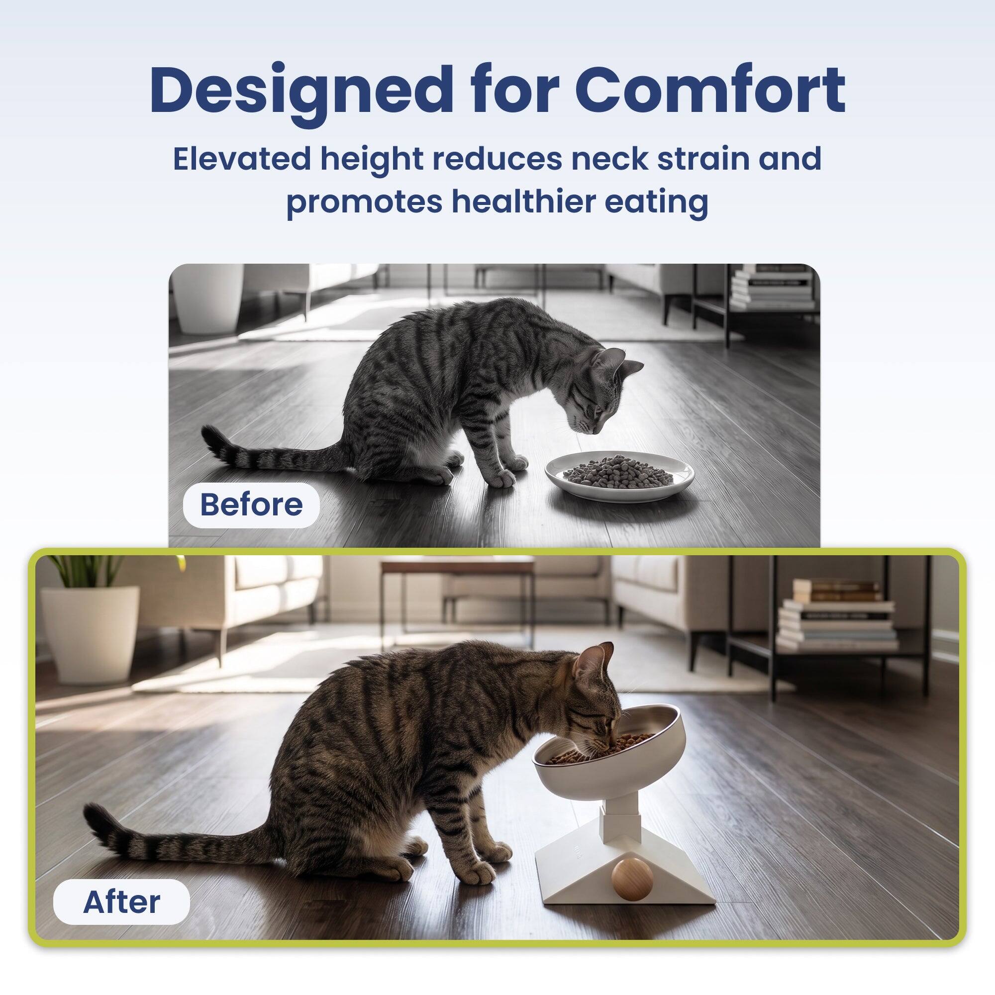 Designed for Comfort  
Elevated height reduces neck strain and promotes healthier eating