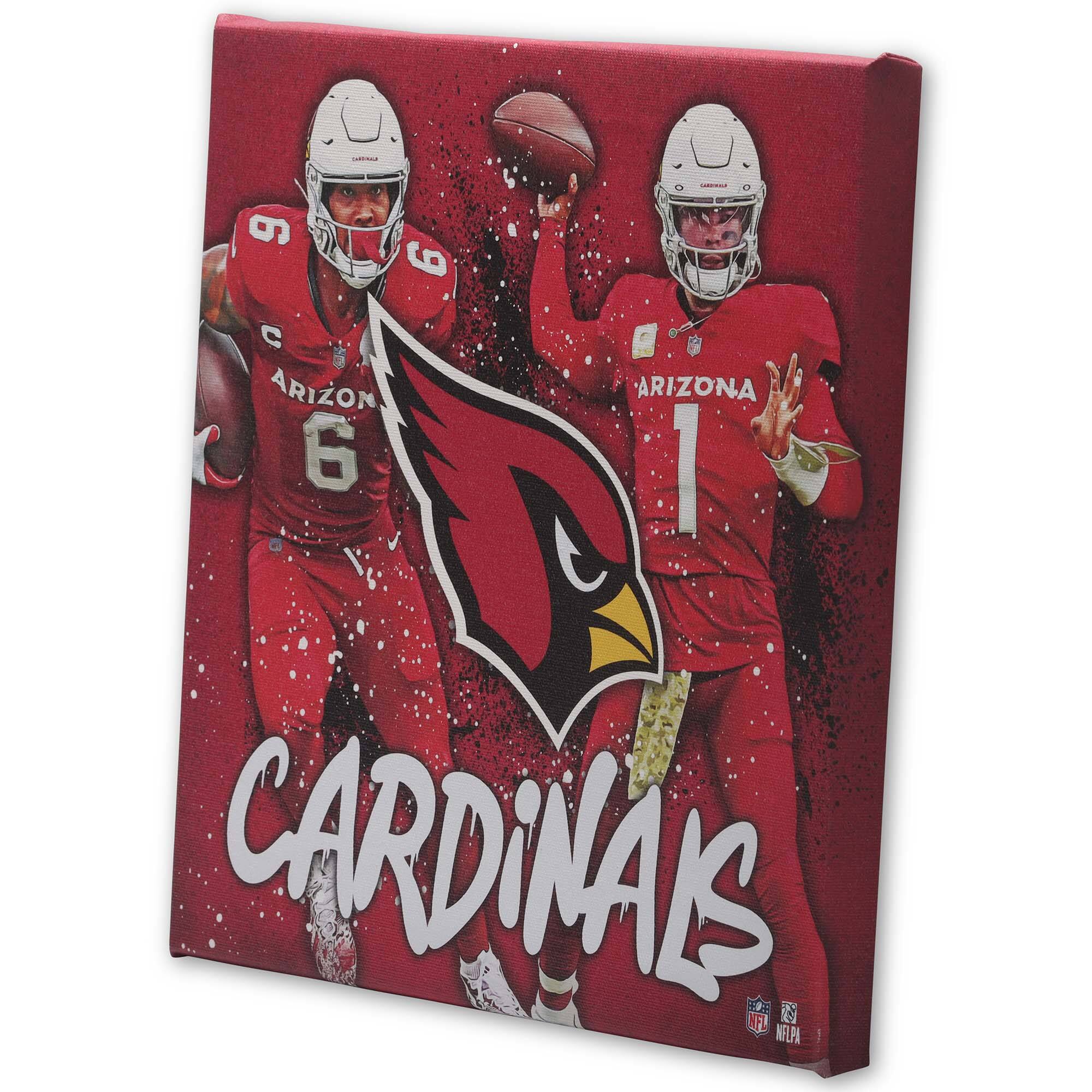 9 9 C ARIZONA 6 I T CARDINALS NFL NELPA