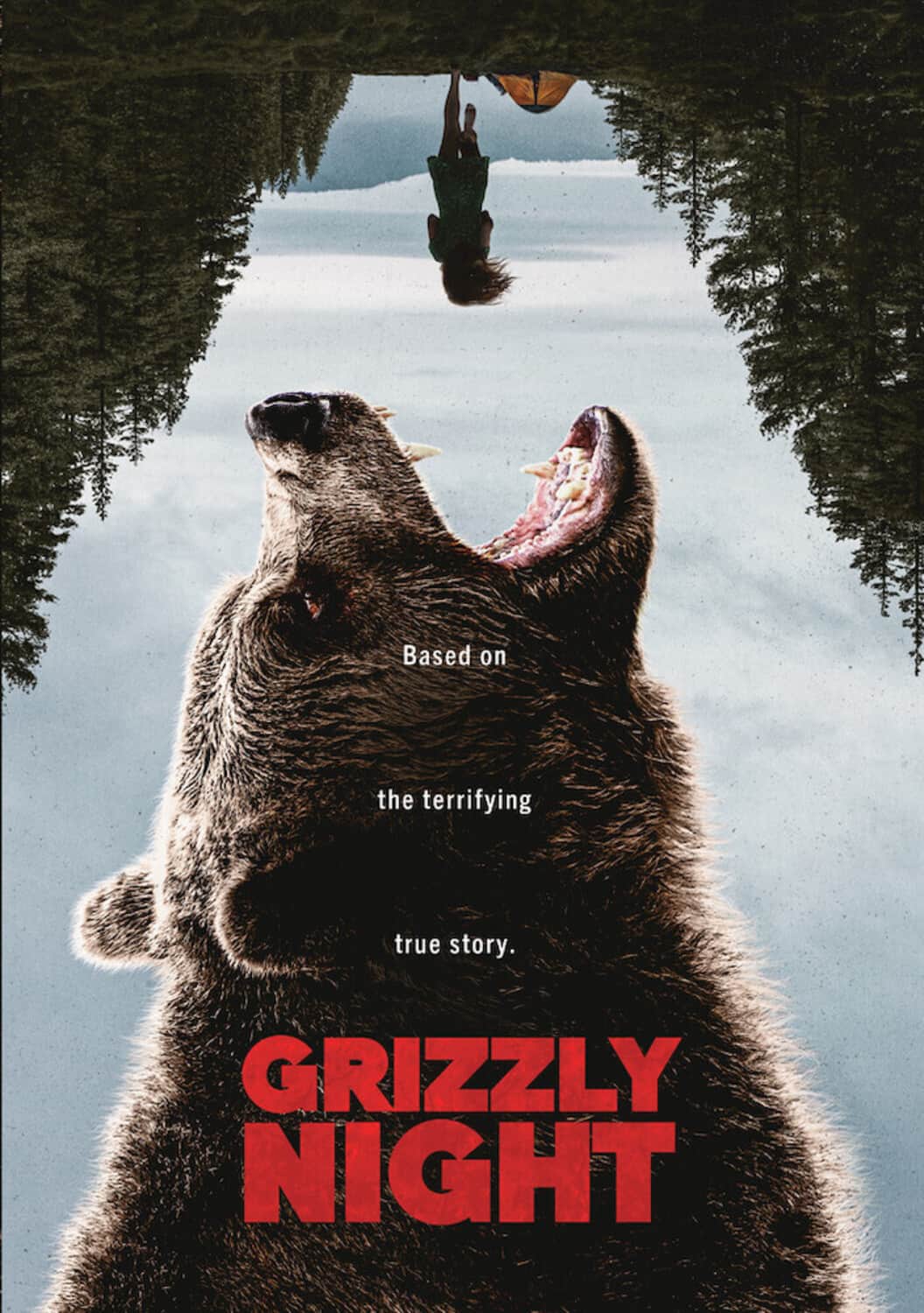 Grizzly Night   - DVD price history on PriceWatchPro