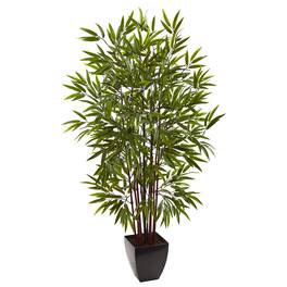 BreeBe - 5' Bamboo Tree x 12 w/Planter - Green