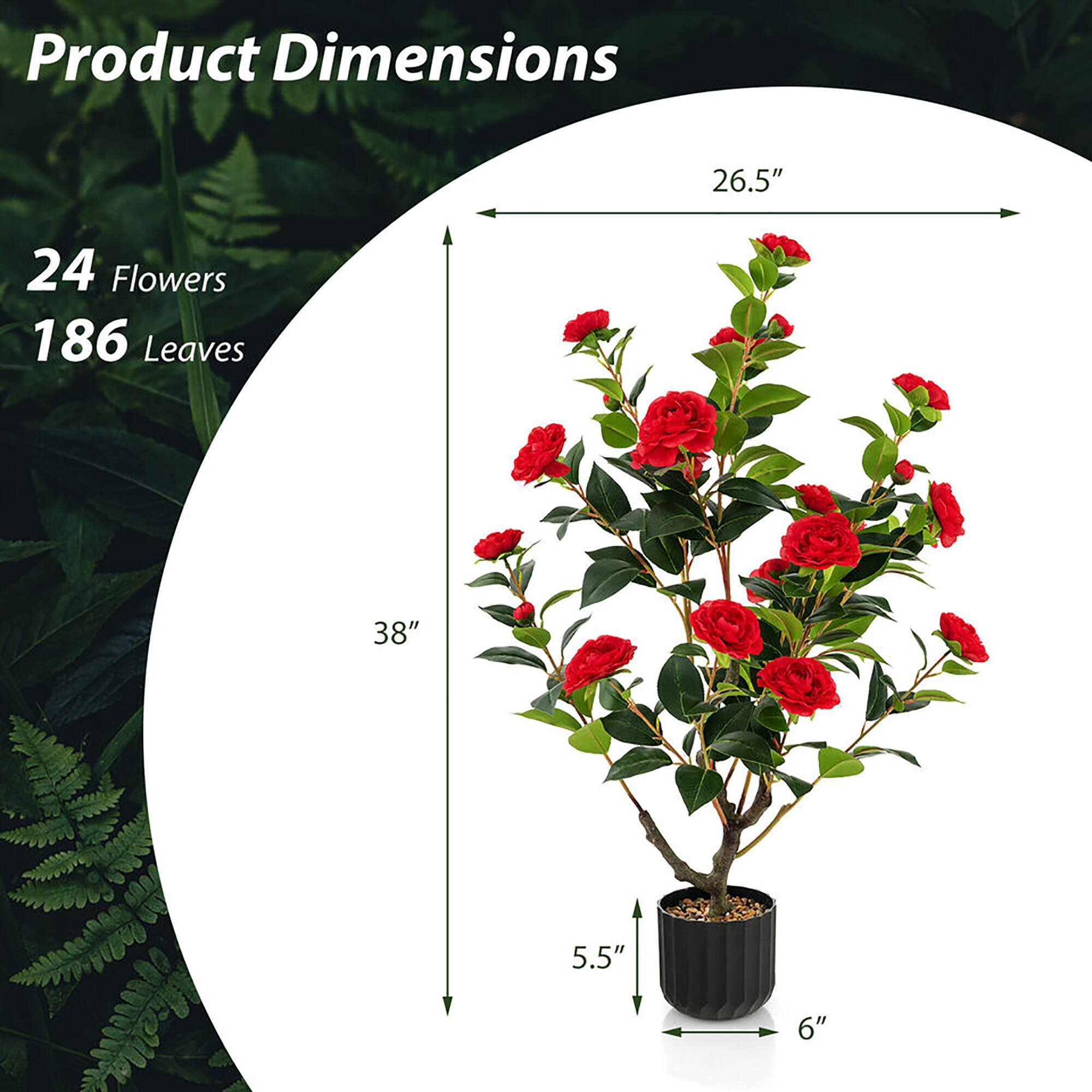 Product Dimensions

24 Flowers  
186 Leaves  

26.5"  
38"  
5.5"  
6"