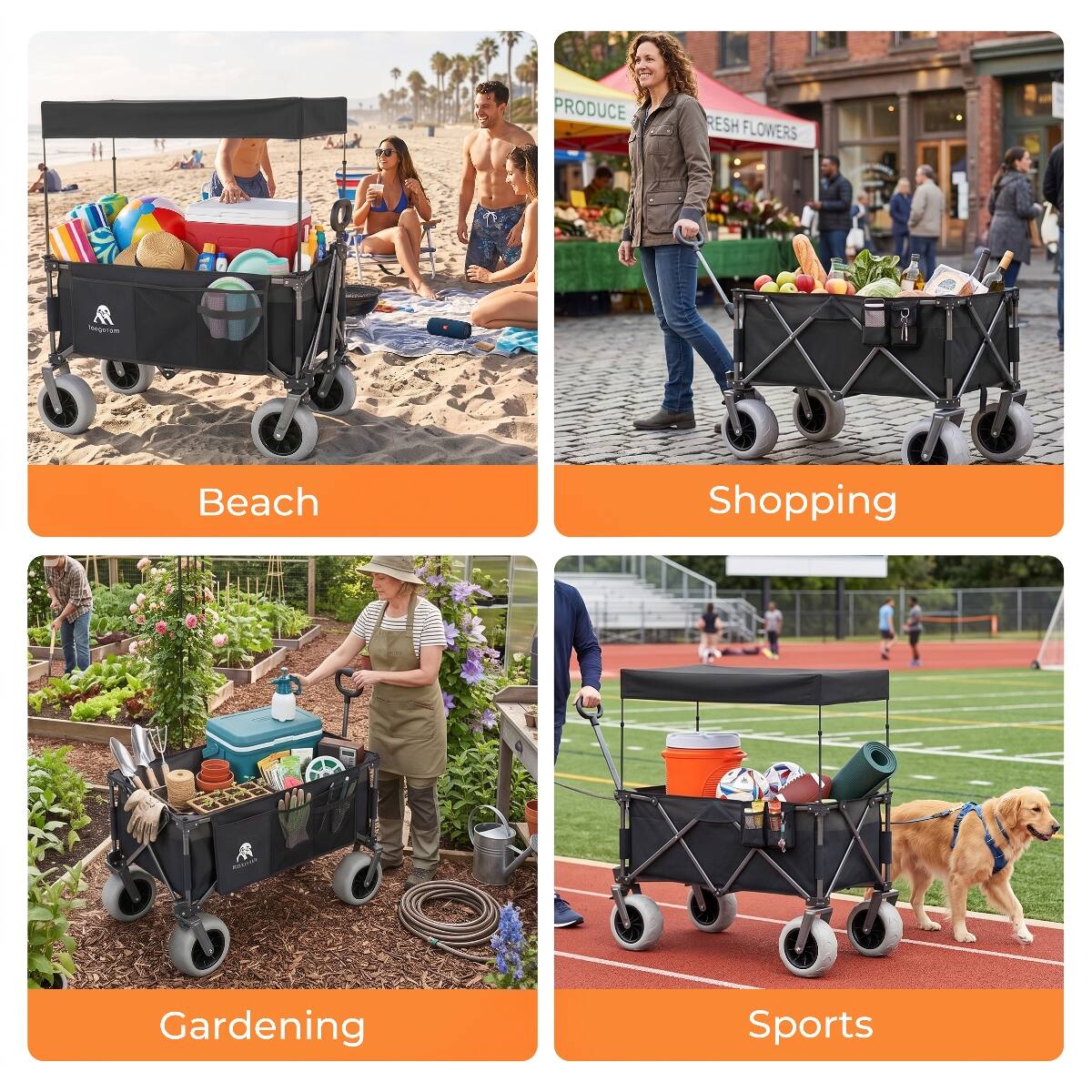 Beach  
Shopping  
Gardening  
Sports