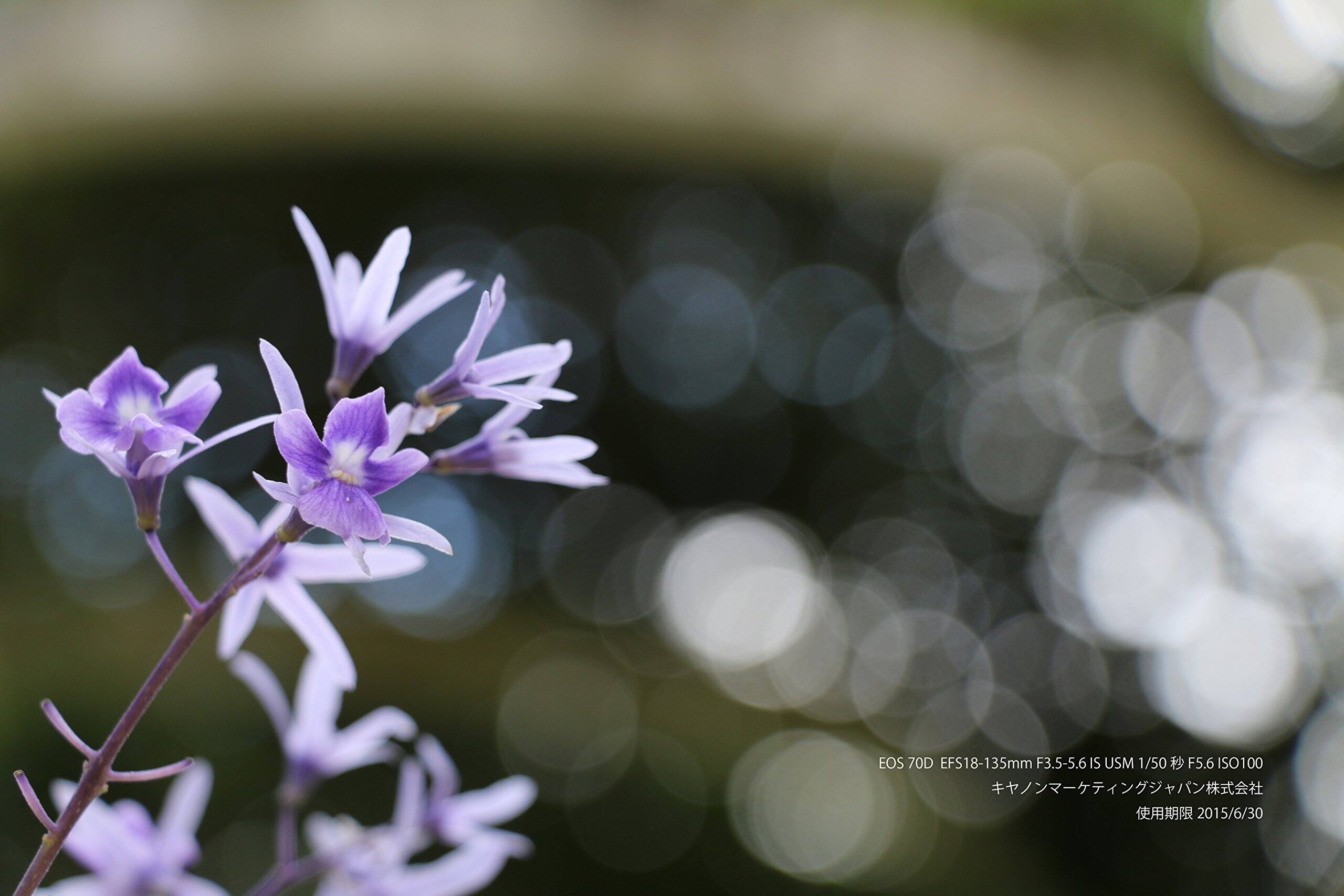 EOS 70D  
EFS18-135mm F3.5-5.6 IS USM  
1/50  
F5.6  
ISO100  
2015/6/30  

EOS 70D  
EFS18-135mm F3.5-5.6 IS USM  
1/50  
F5.6  
ISO100  
2015/6/30  

キヤノンマーケティングジャパン株式会社  
使用期限 2015/6/30