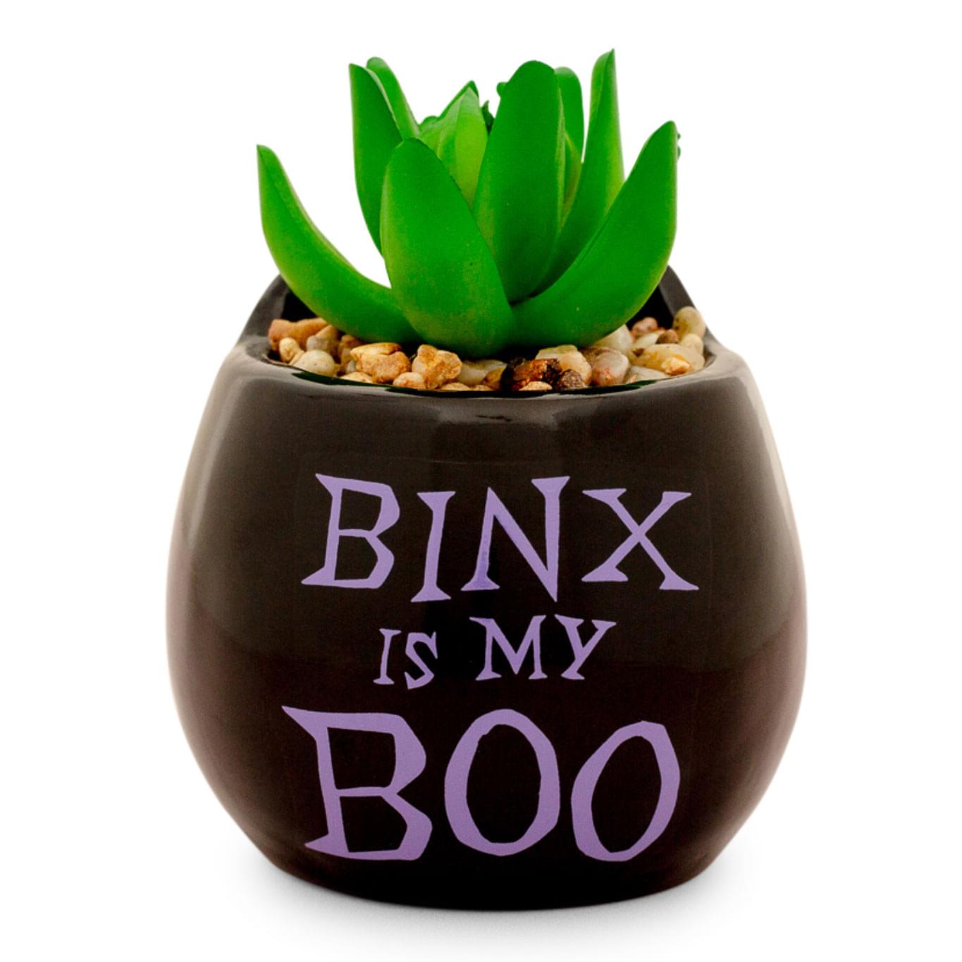 Binx is my Boo