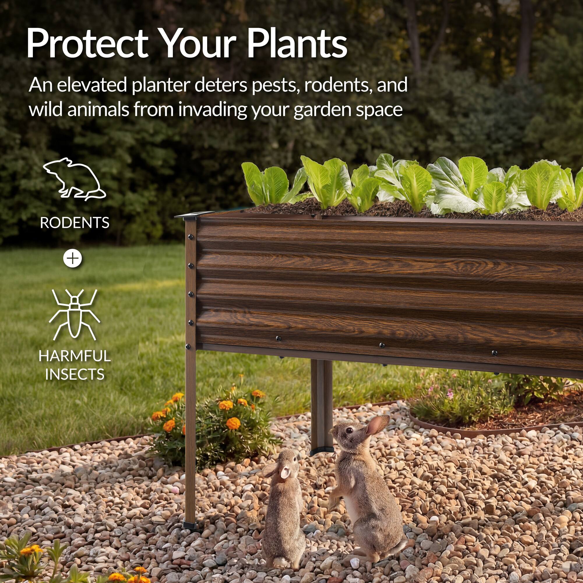 Protect Your Plants

An elevated planter deters pests, rodents, and wild animals from invading your garden space

RODENTS + HARMFUL INSECTS