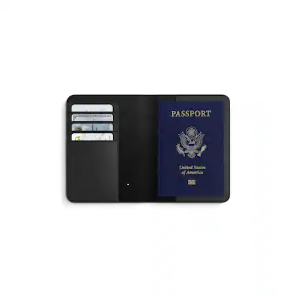 PASSPORT
United States of America
SATECHI