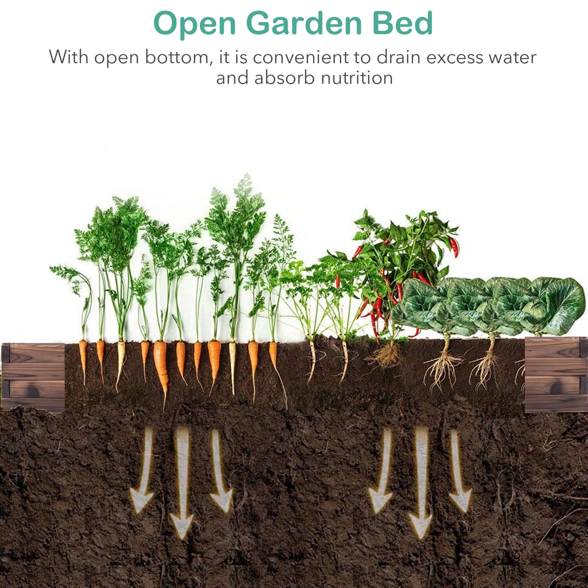 Open Garden Bed: With an open bottom, it is convenient to drain excess water and absorb nutrition.