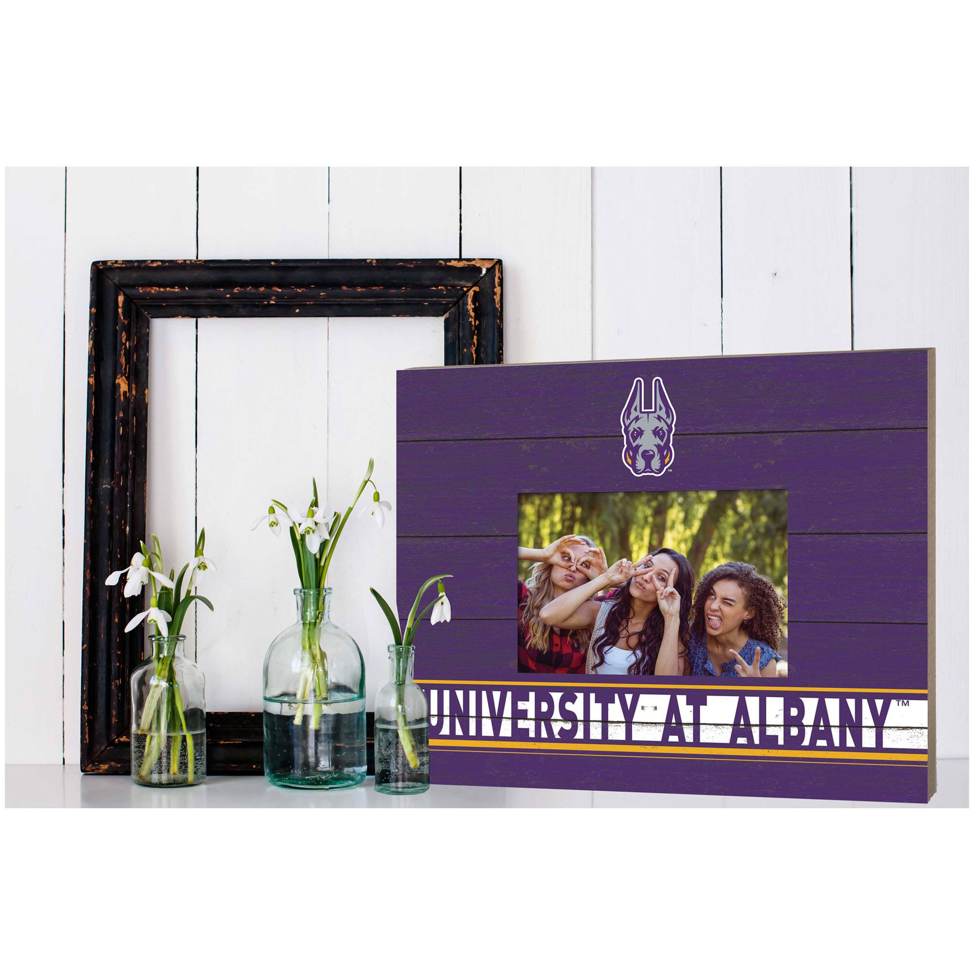 University at Albany