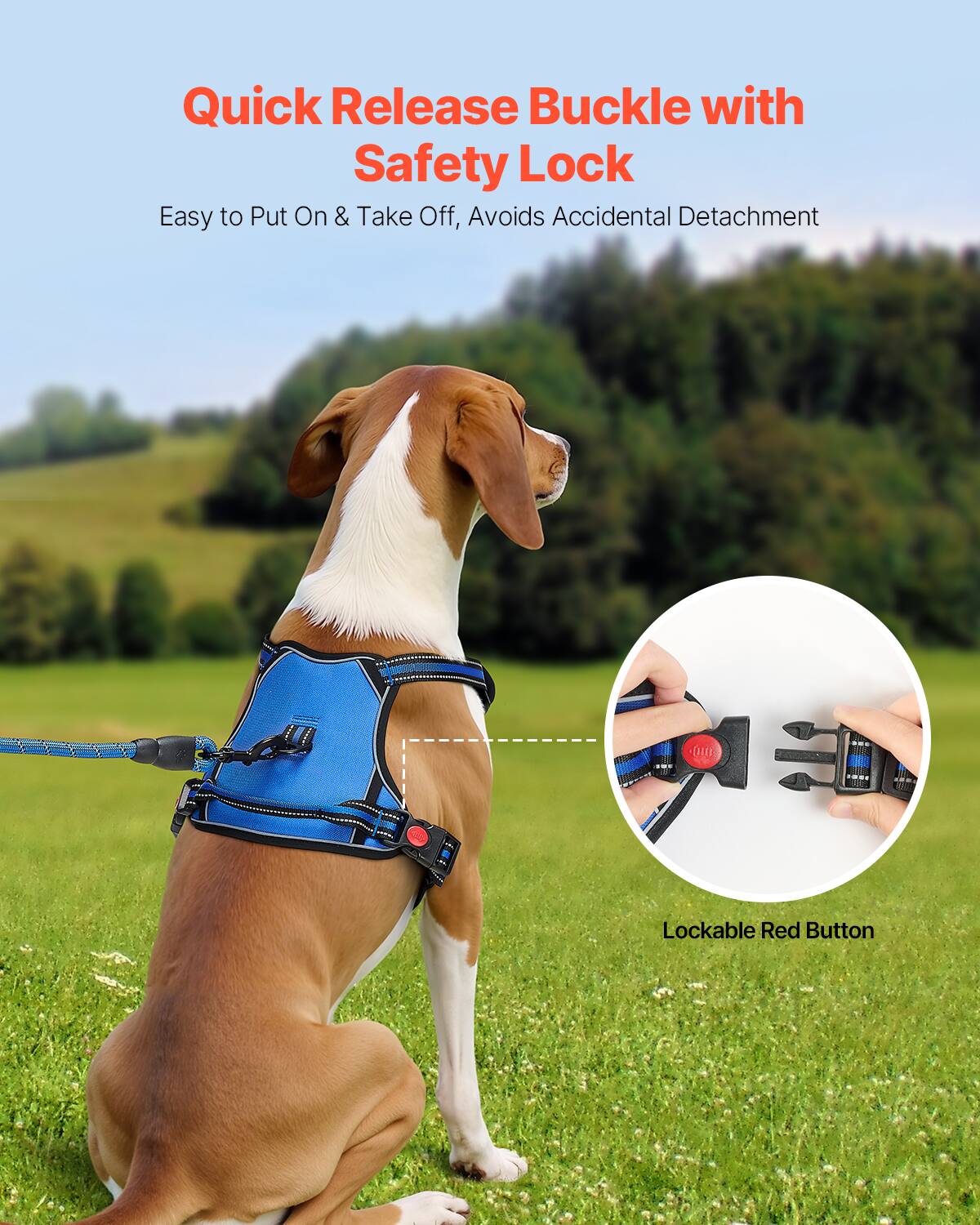 Quick Release Buckle with Safety Lock  
Easy to Put On & Take Off, Avoids Accidental Detachment  

Lockable Red Button