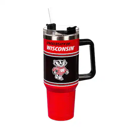 UNIVERSITY OF WISCONSIN
BADGERS