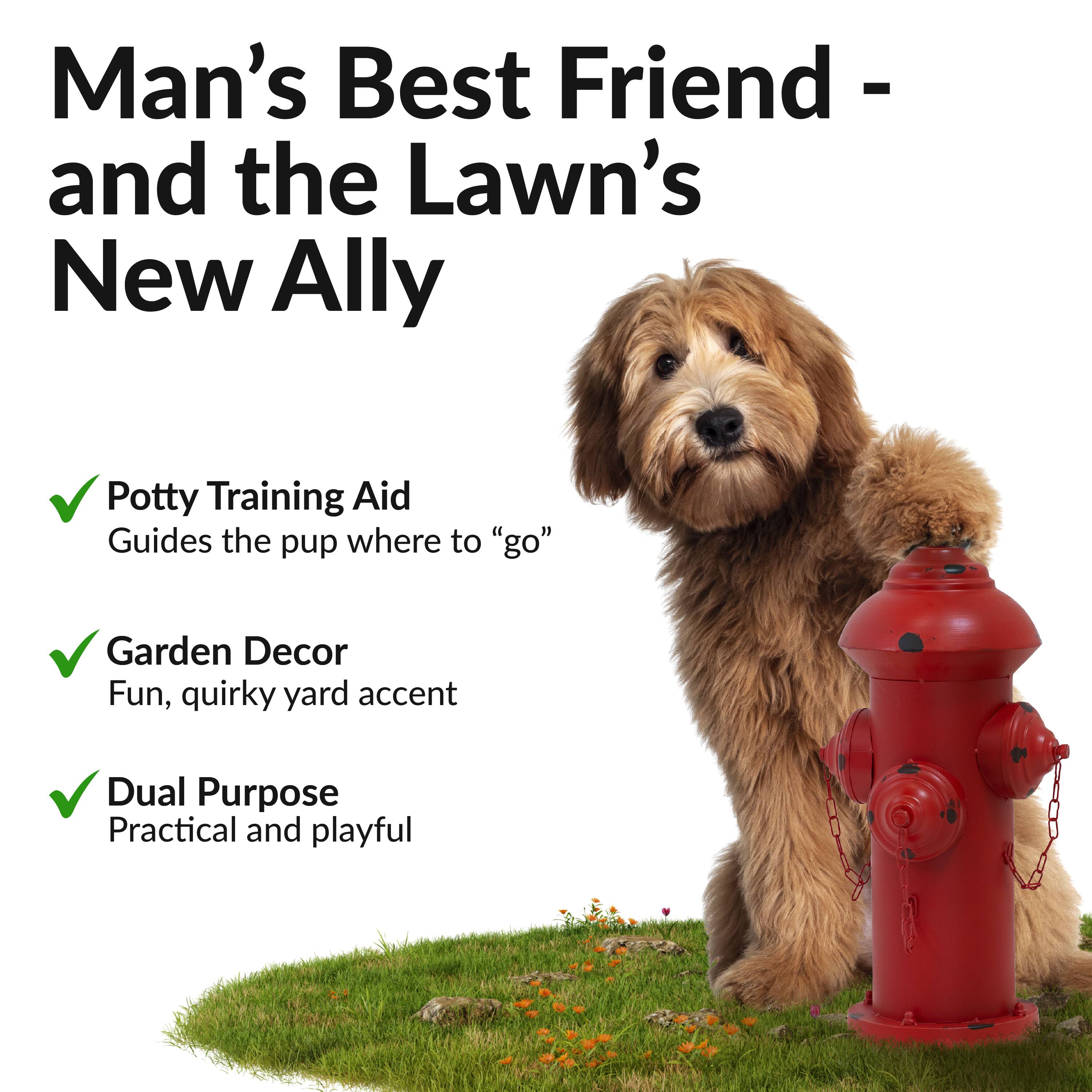 Man's Best Friend - and the Lawn's New Ally

- Potty Training Aid
  - Guides the pup where to "go"

- Garden Decor
  - Fun, quirky yard accent

- Dual Purpose
  - Practical and playful
