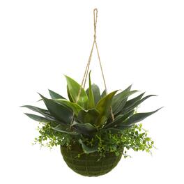 BreeBe - 13" Agave and Maiden Hair Hanging Basket (Indoor/Outdoor) - Green