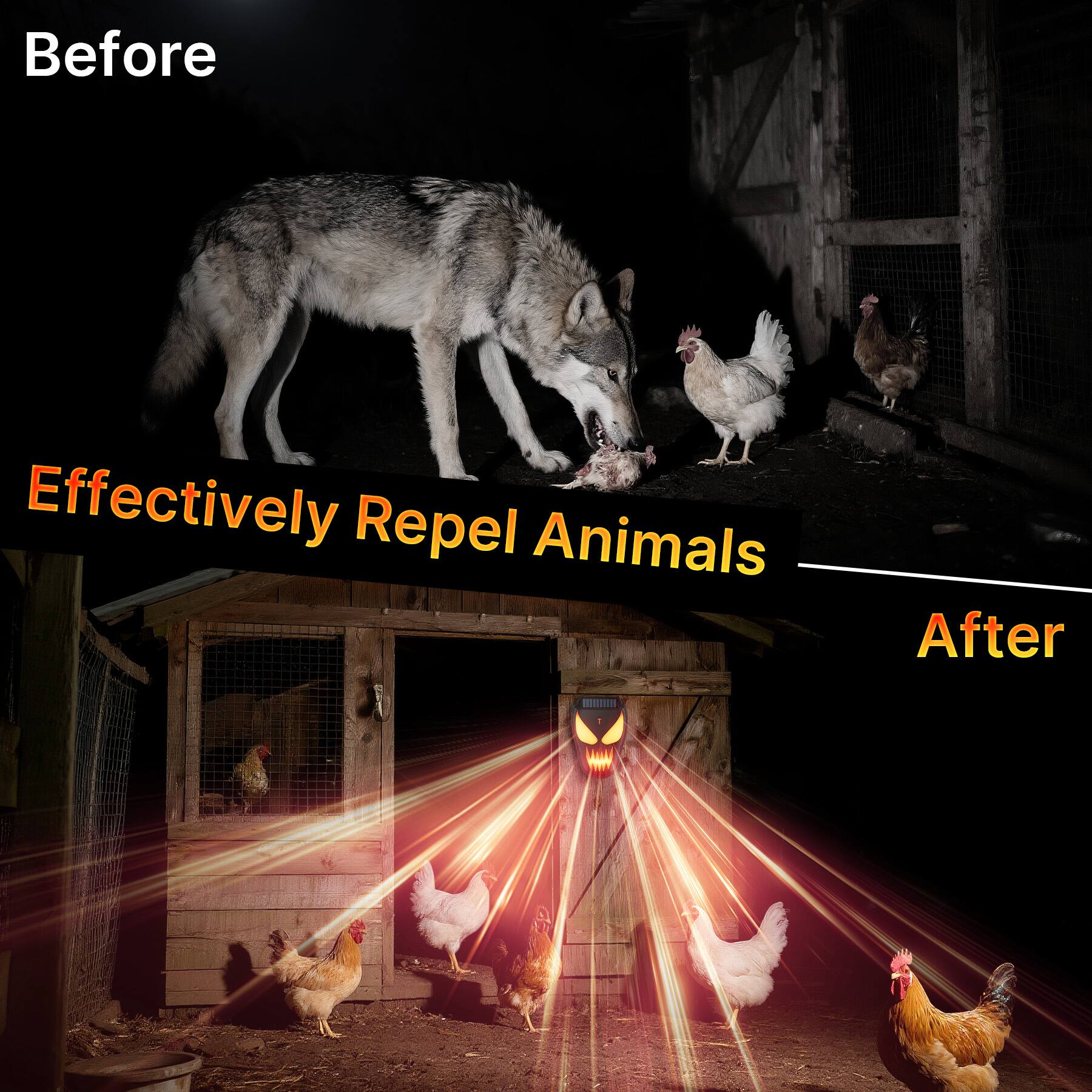 Before Effectively Repel Animals After