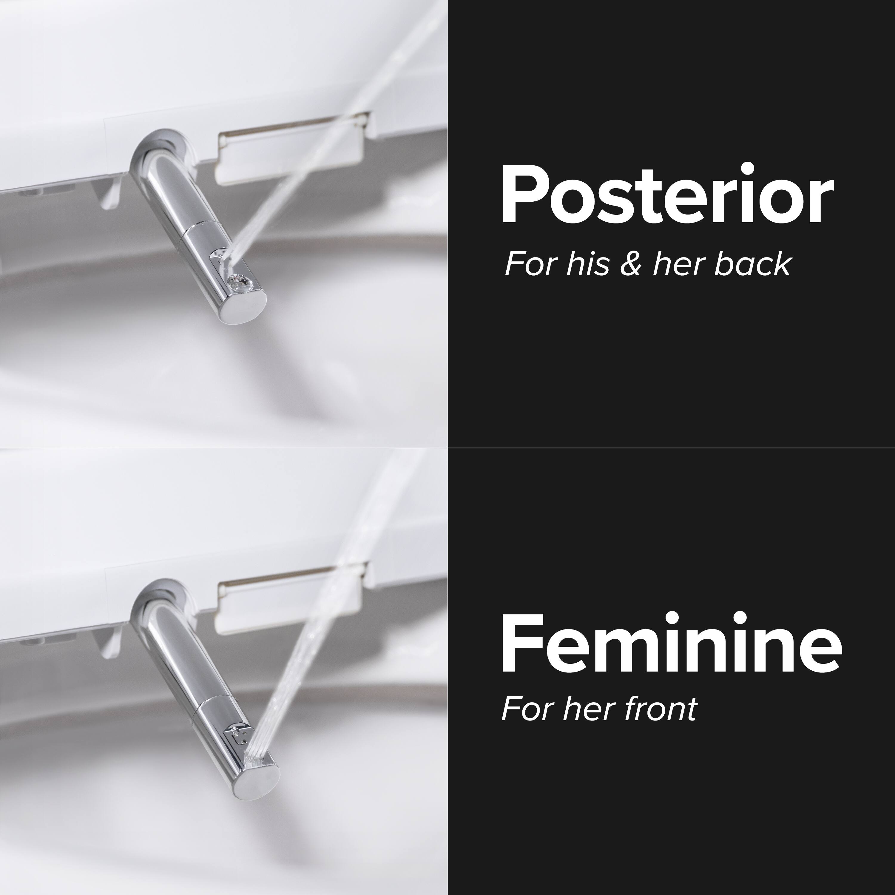 Posterior  
For his & her back  

Feminine  
For her front