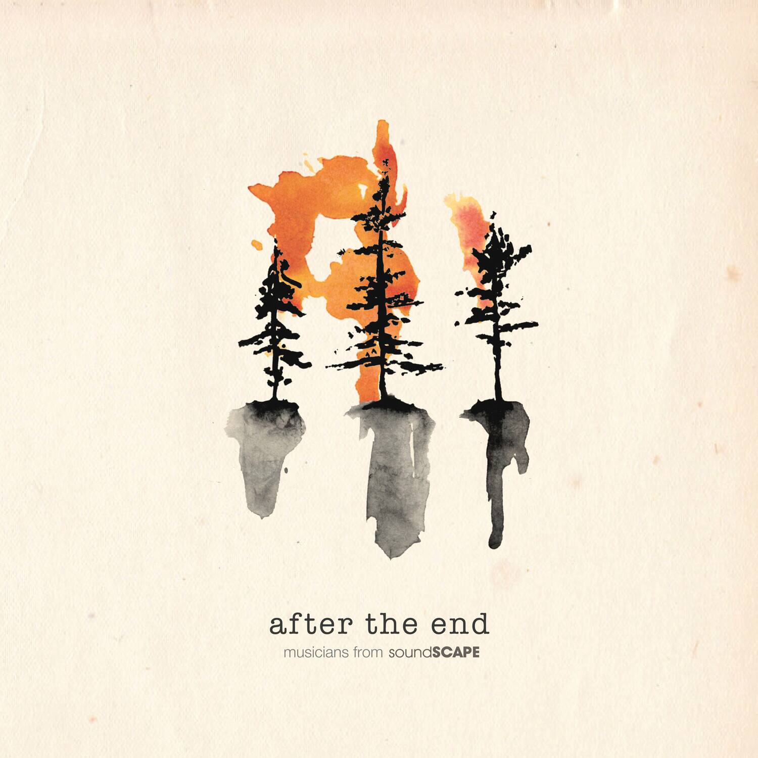 after the end  
musicians from soundSCAPE