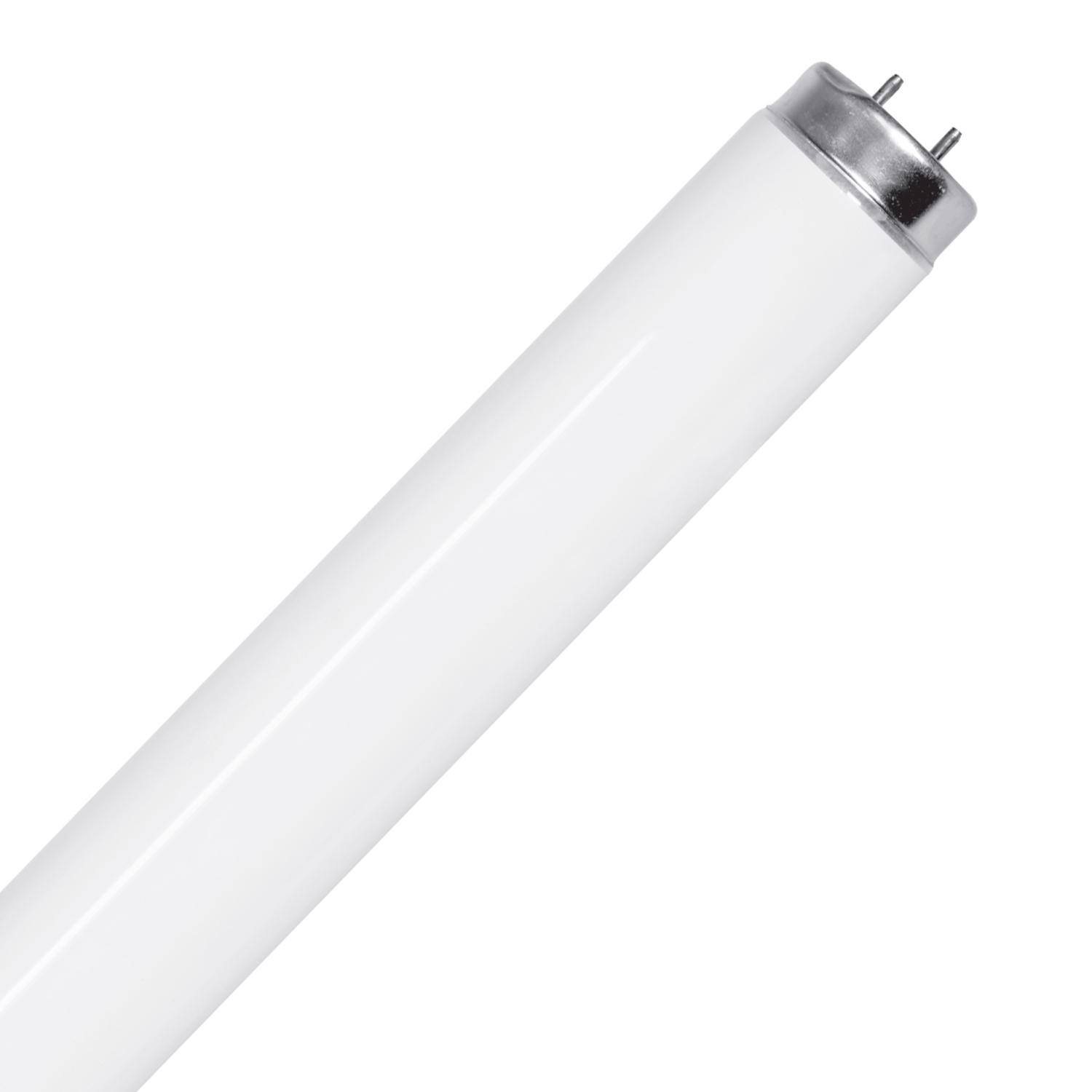 Left. FEIT ELECTRIC - Feit Legacy Bulbs 15 W T12 1.5 in. D X 17.4 in. L Fluorescent Bulb Cool White Linear 4100 K 1 pk.