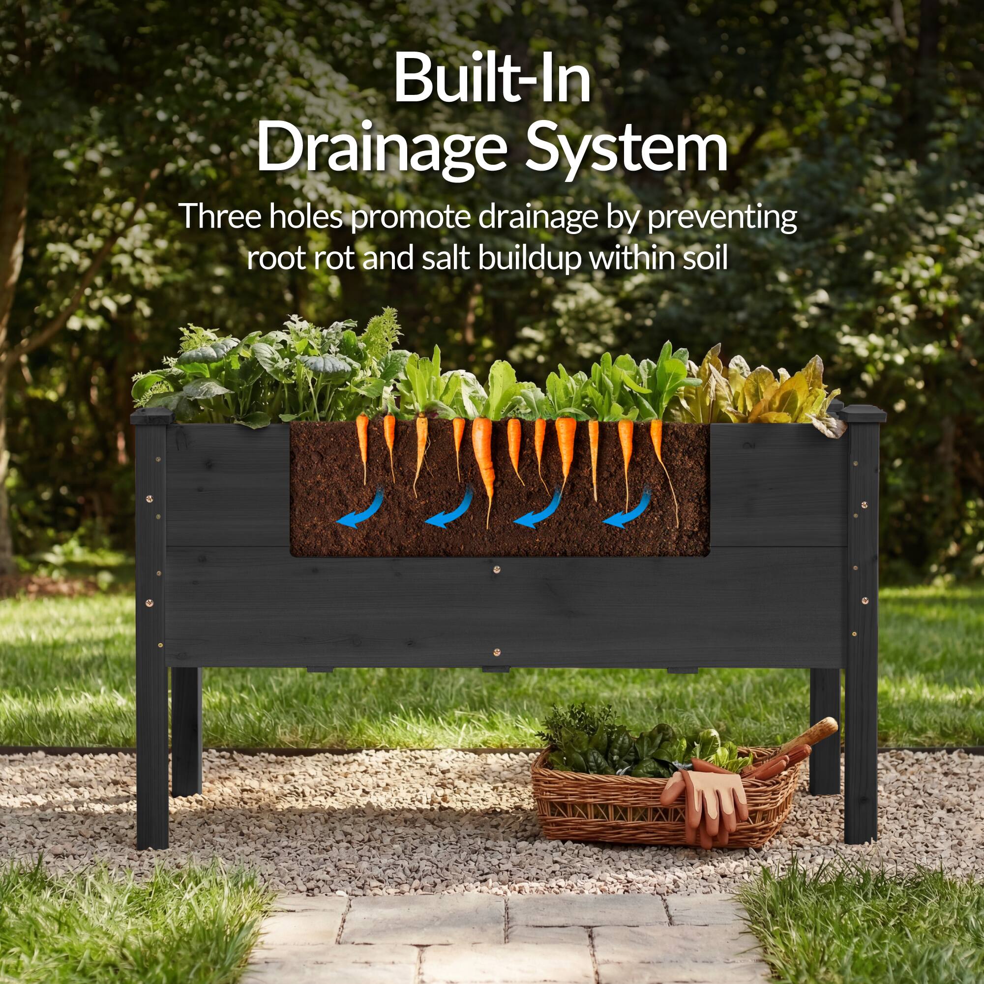 Built-In Drainage System

Three holes promote drainage by preventing root rot and salt buildup within soil