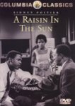 Front Standard. A Raisin in the Sun [DVD] [1961].